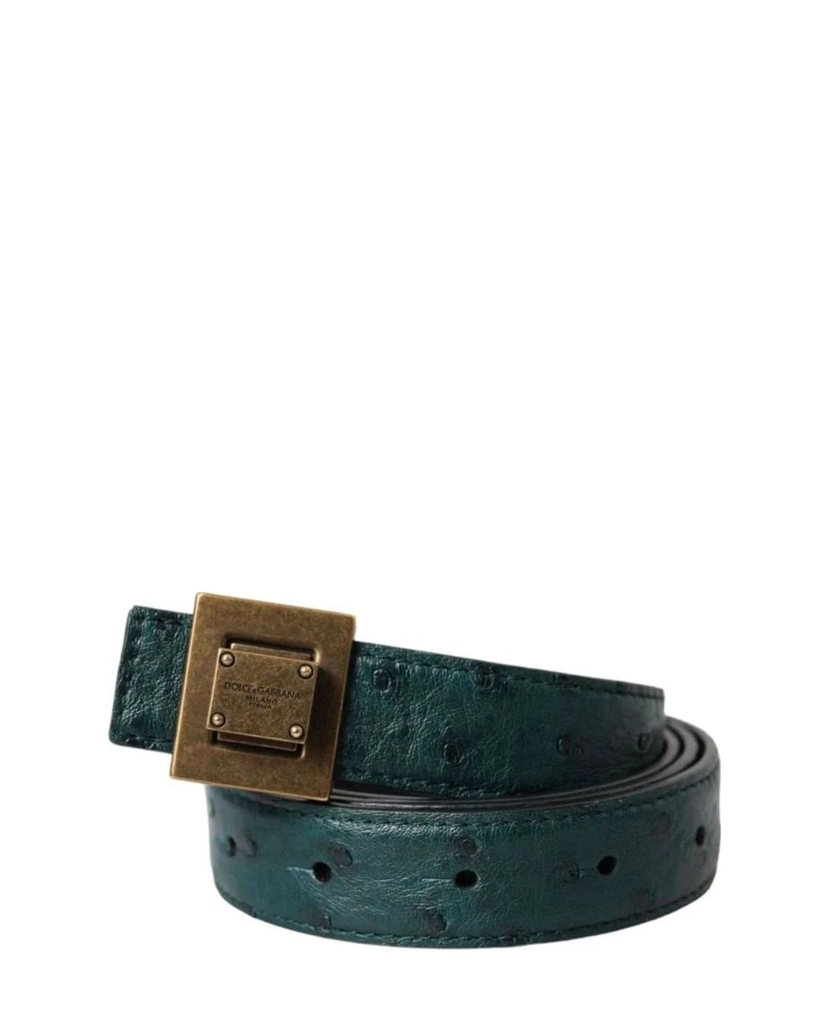Dolce & Gabbana Belts in green — view 2