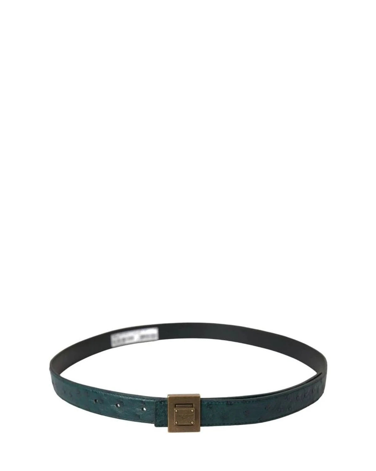 Dolce & Gabbana Belts in green — view 3