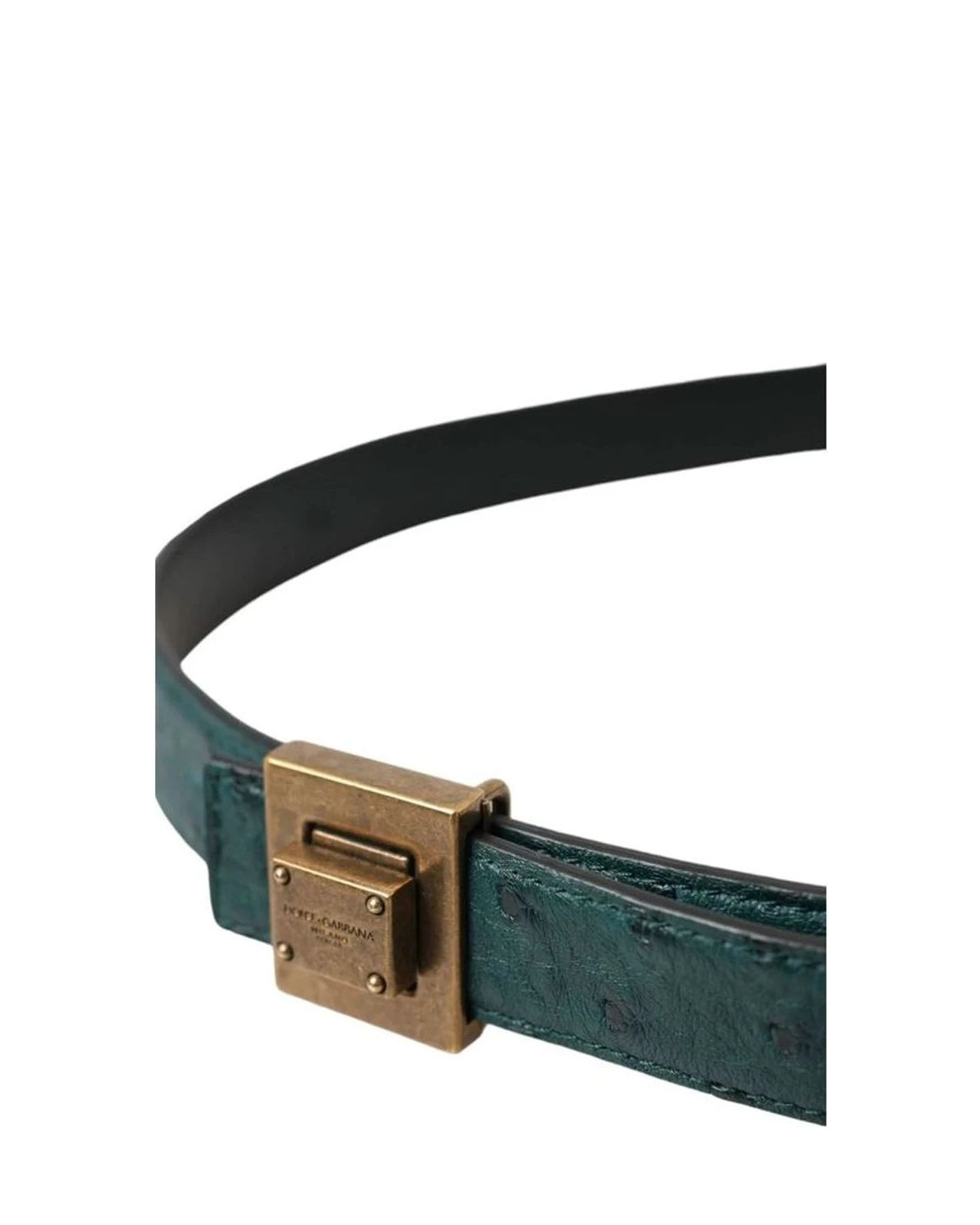 Dolce & Gabbana Belts in green — view 4