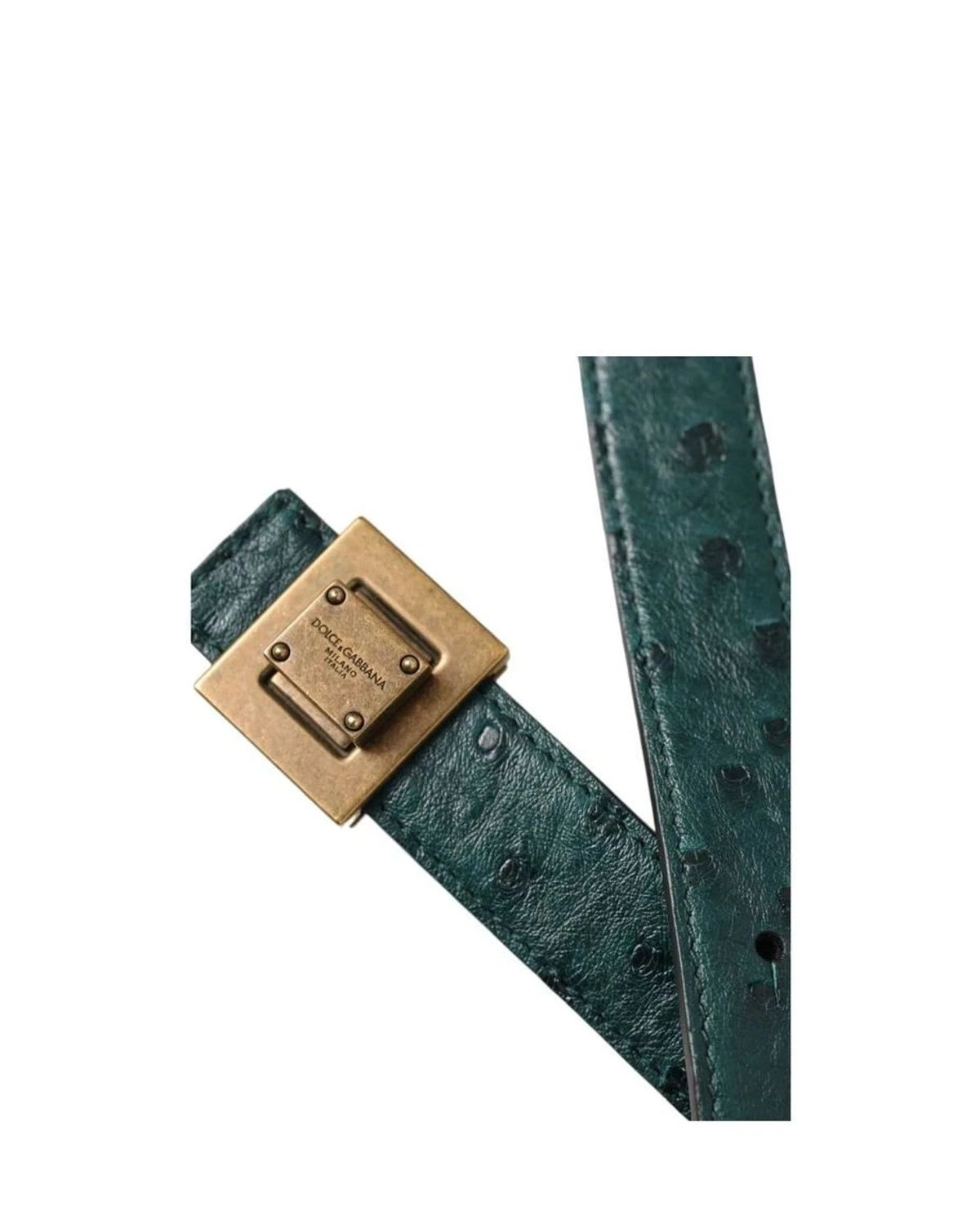Dolce & Gabbana Belts in green — view 5