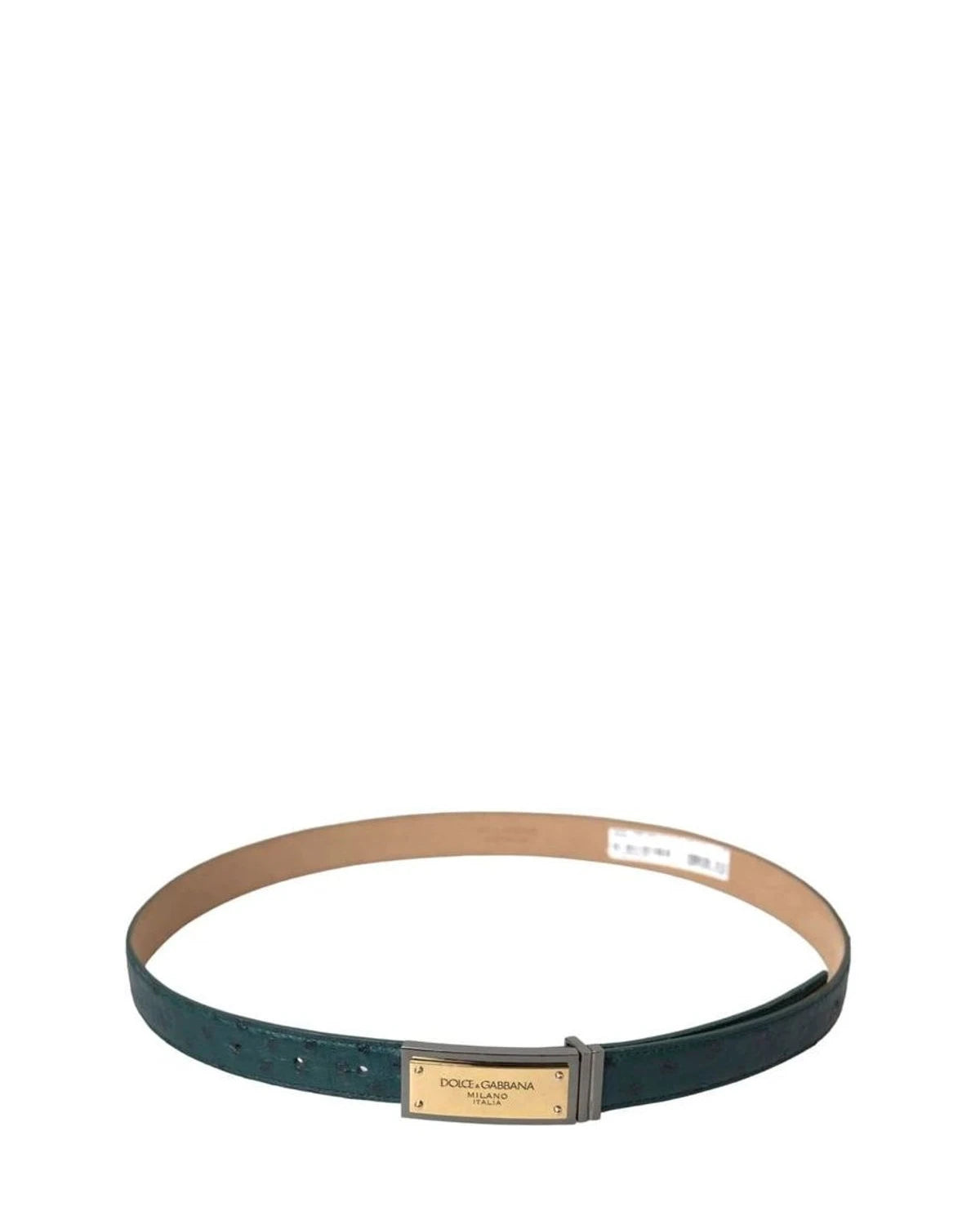 Dolce & Gabbana Belts in green — view 2