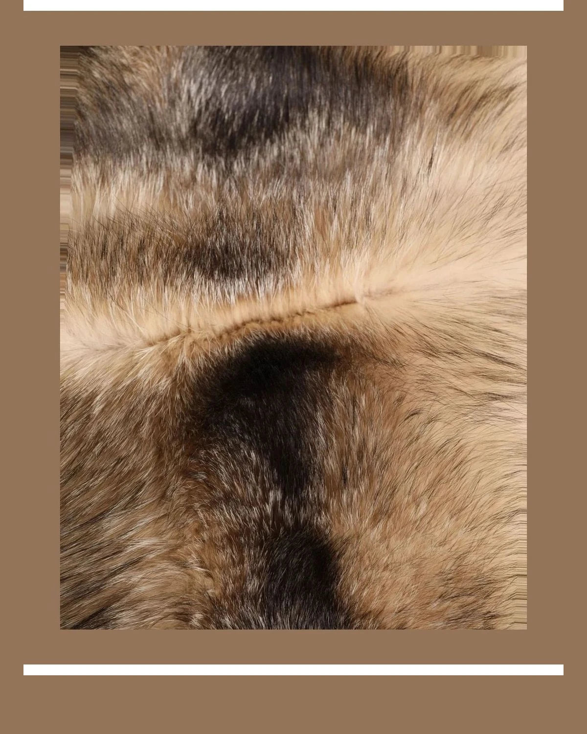Dolce & Gabbana Scarves & Shawl in brown, Cashmere — view 2