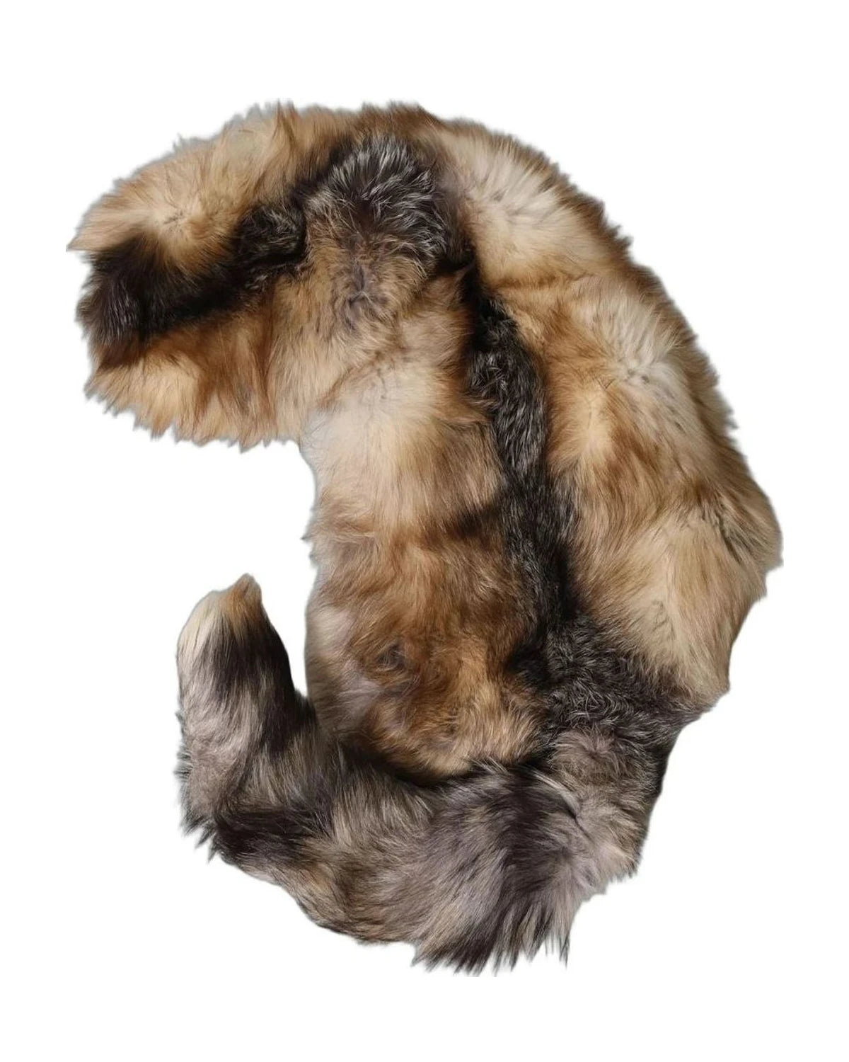 Dolce & Gabbana Scarves & Shawl in brown, Cashmere — view 4