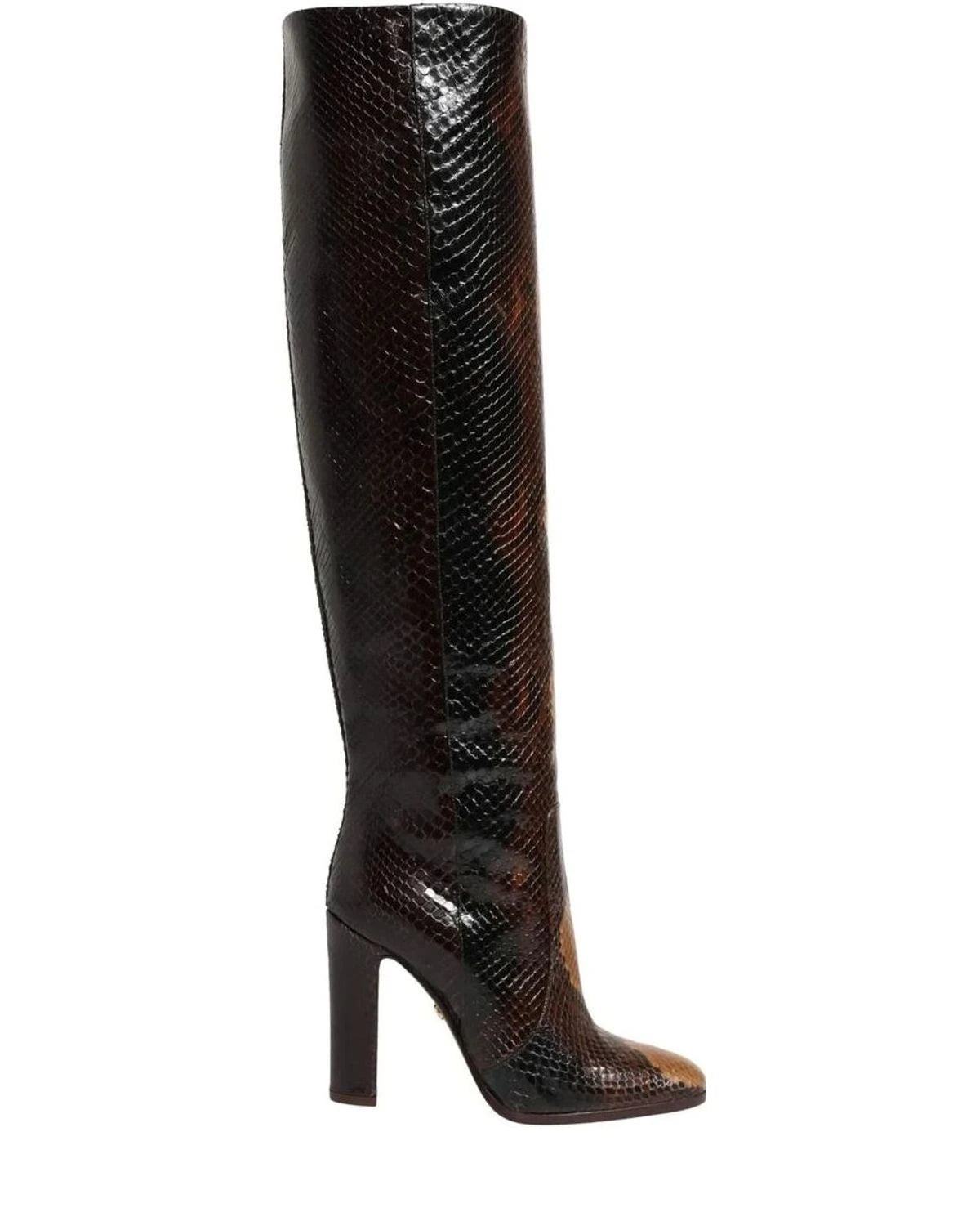 Dolce & Gabbana Exotic Brown Knee High Boots