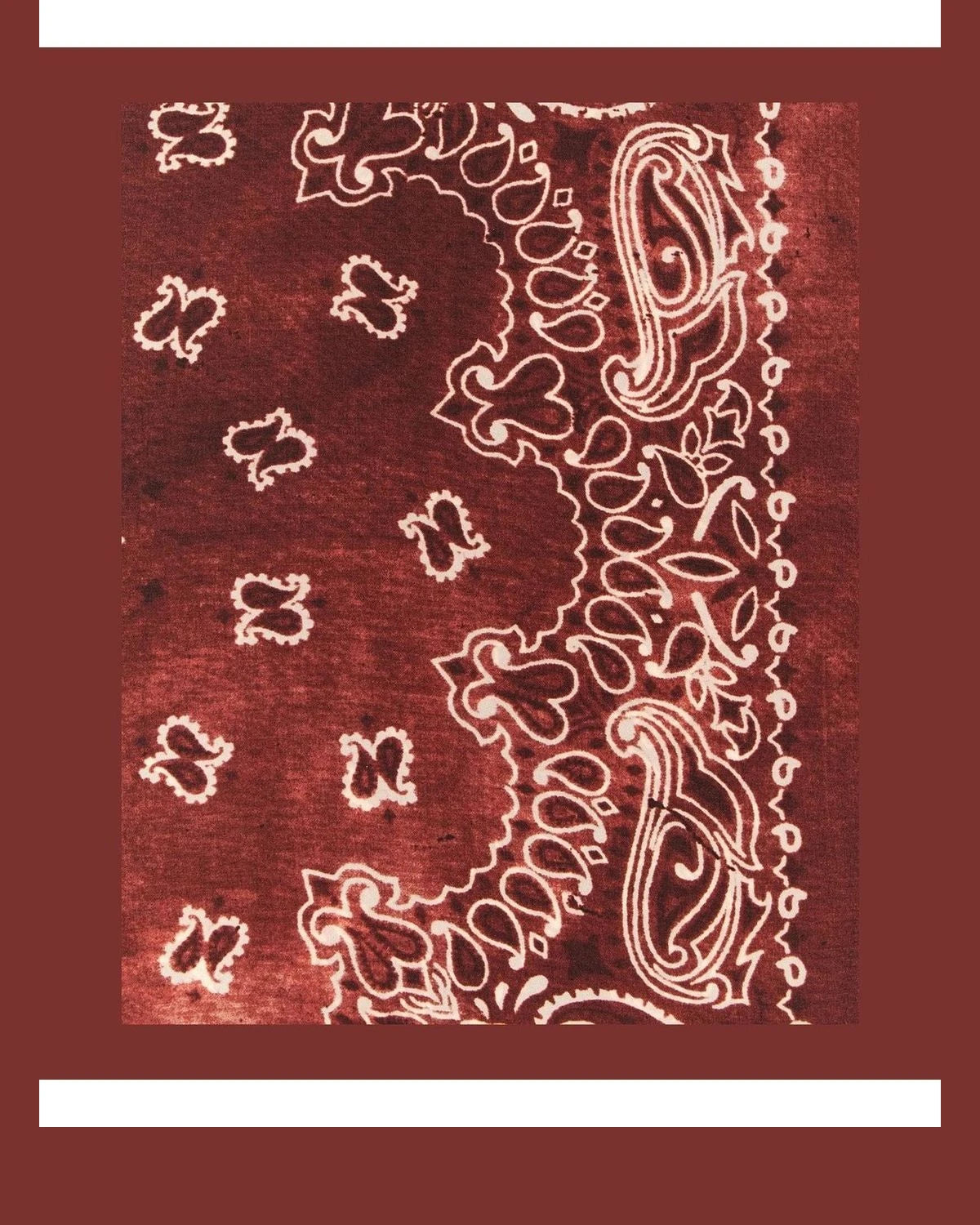 Golden Goose Scarves & Shawl in red, Silk — view 3