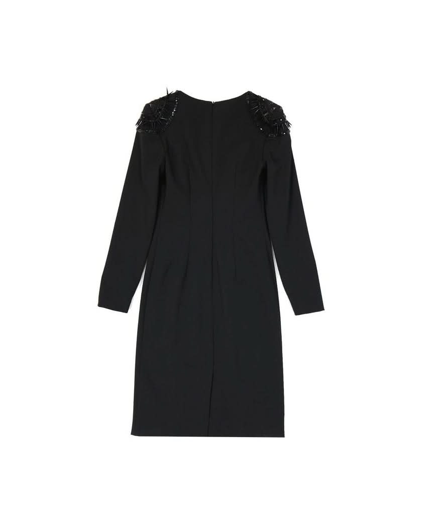 Alberta Ferretti Black Elastane Dress Dresses