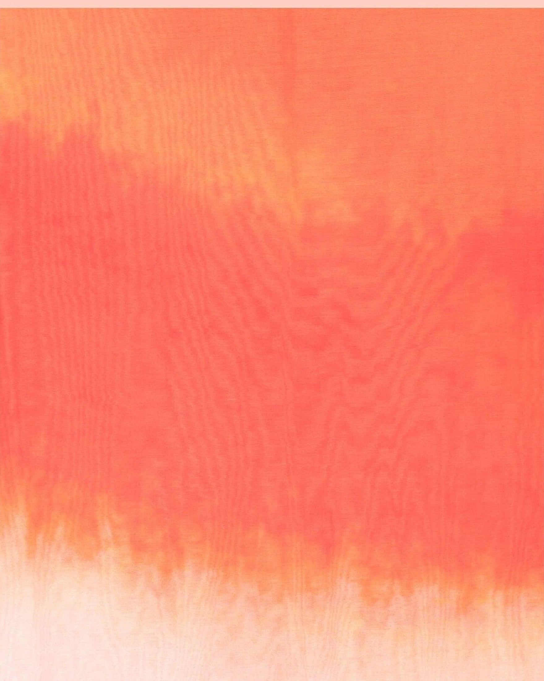 Alexander Mcqueen Gradient Effect Logo Scarf Glam Steals