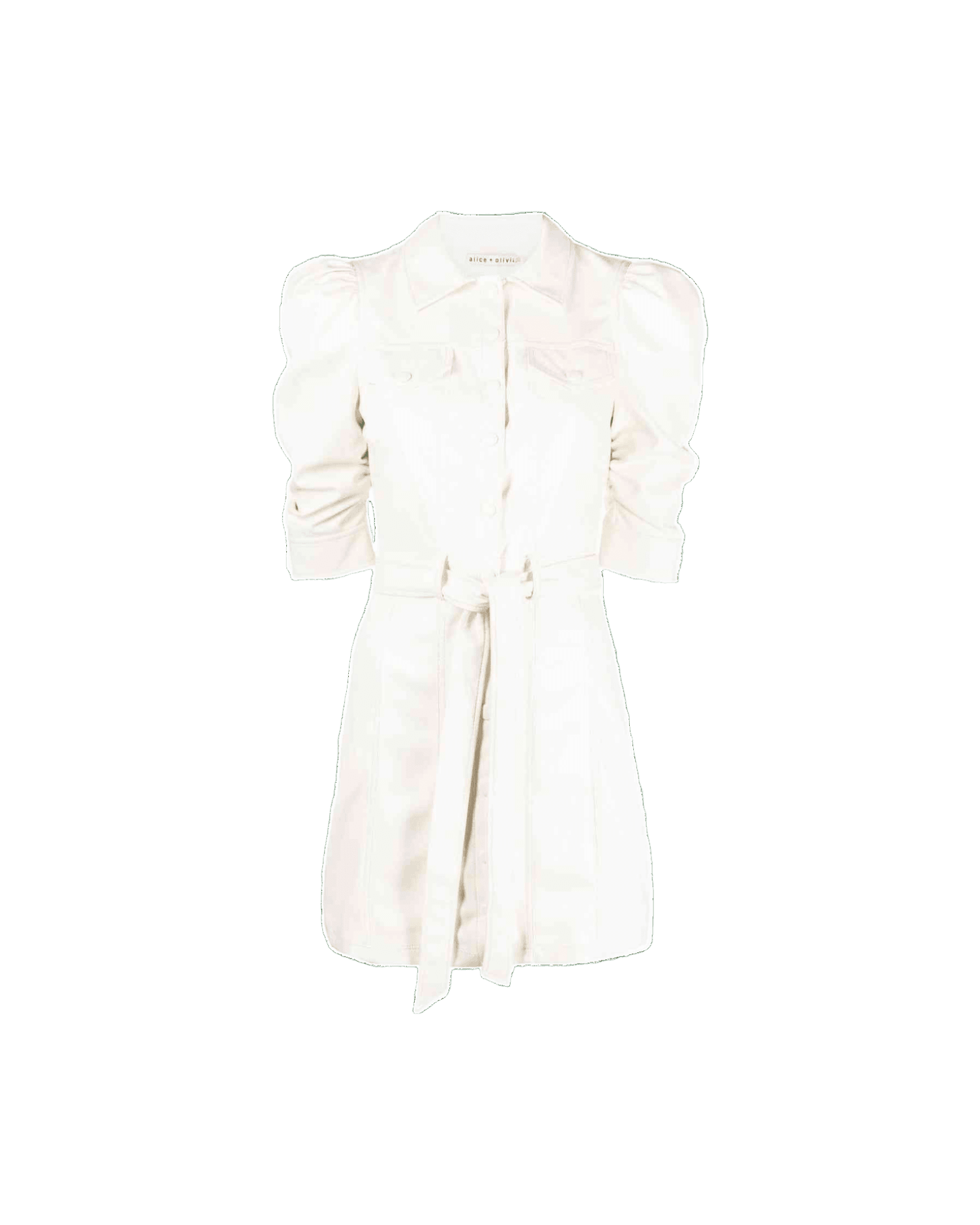 Alice + Olivia Shirt Dress Glam Steals