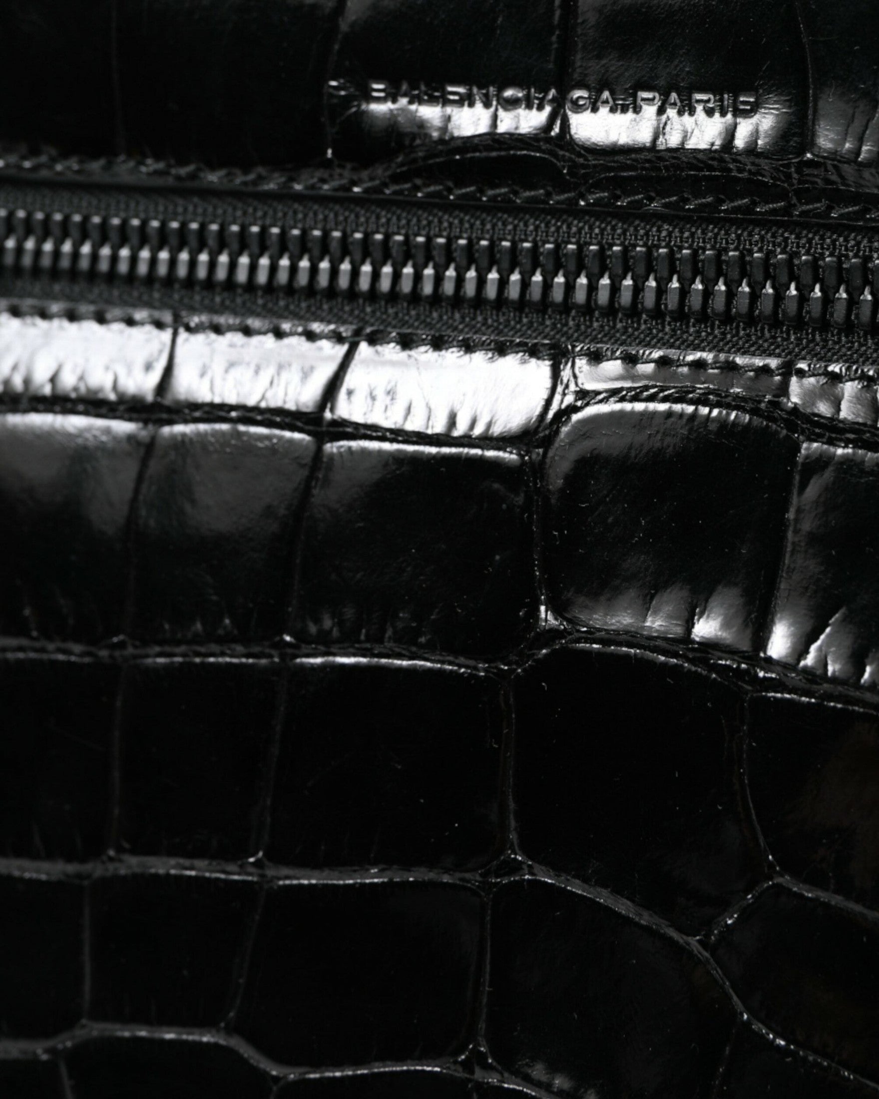 Balenciaga Elegant Exotic Leather Camera Bag Glam Steals