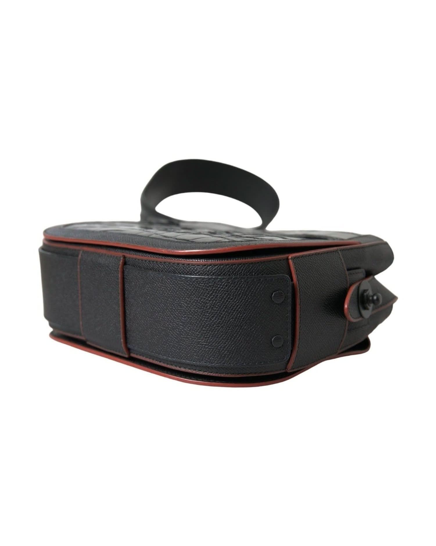 Balenciaga Elegant Exotic Leather Camera Bag Handbags