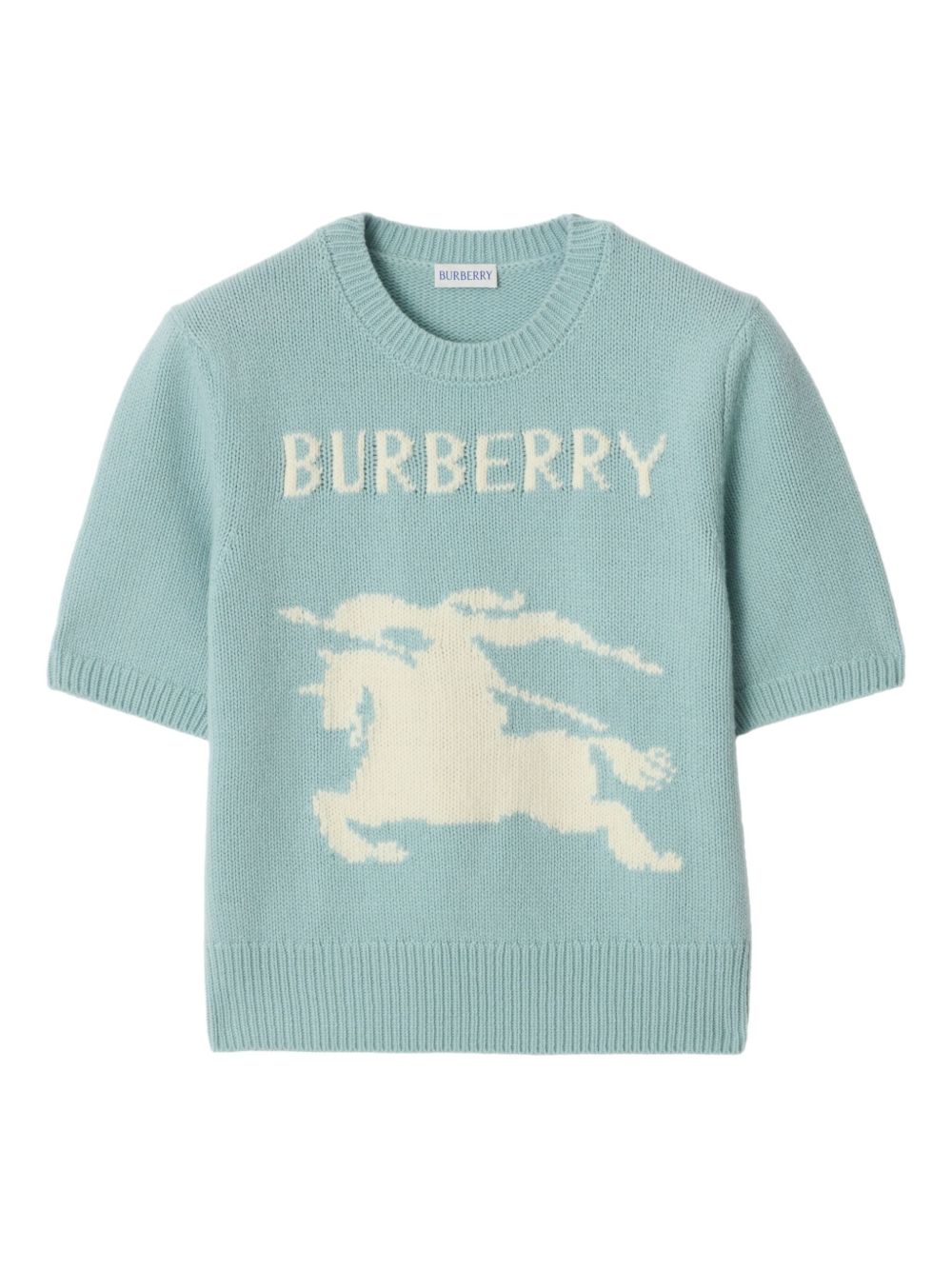 Burberry Clear Blue Polo T-shirt Glam Steals