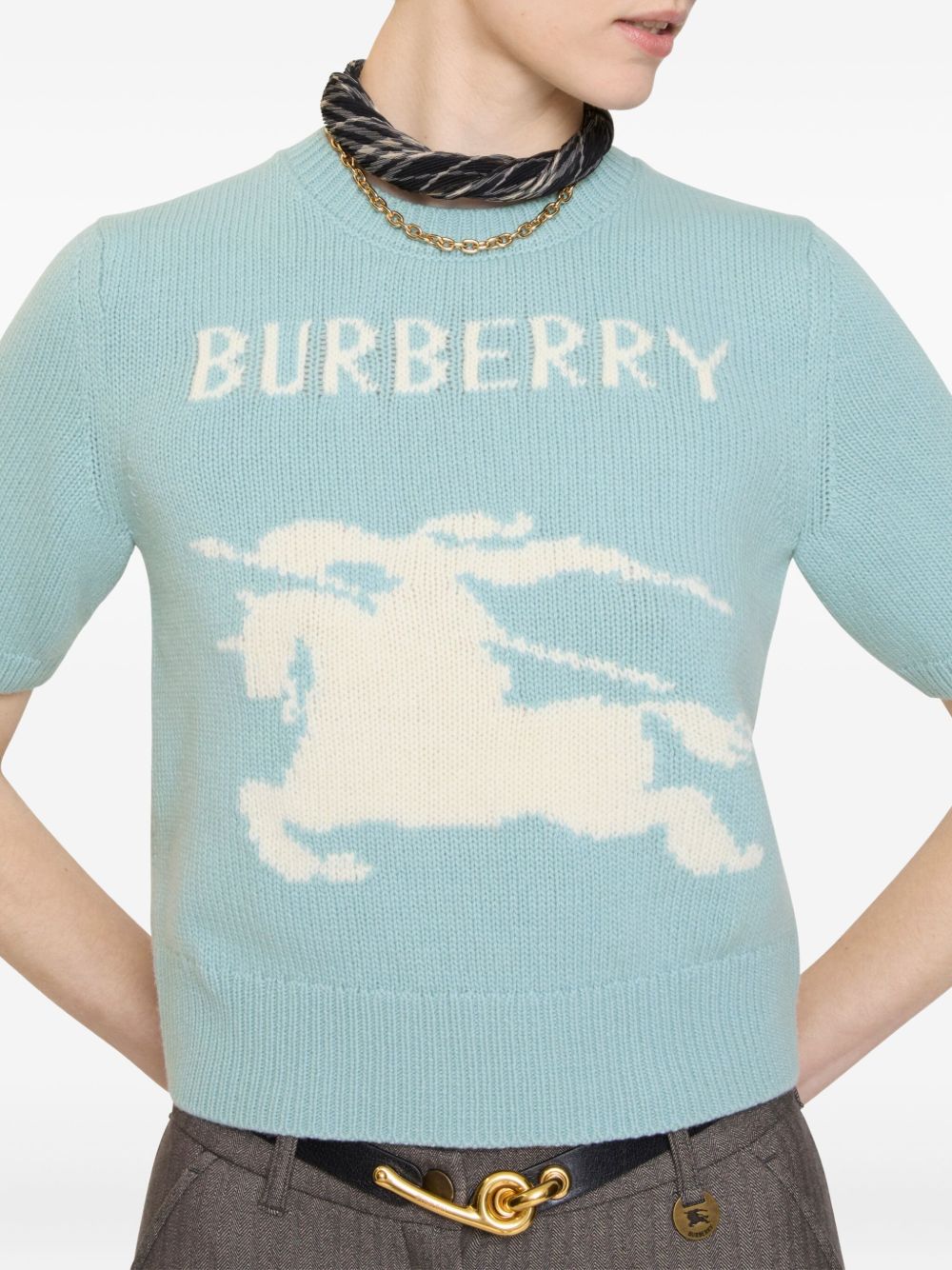 Burberry Clear Blue Polo T-shirt Glam Steals