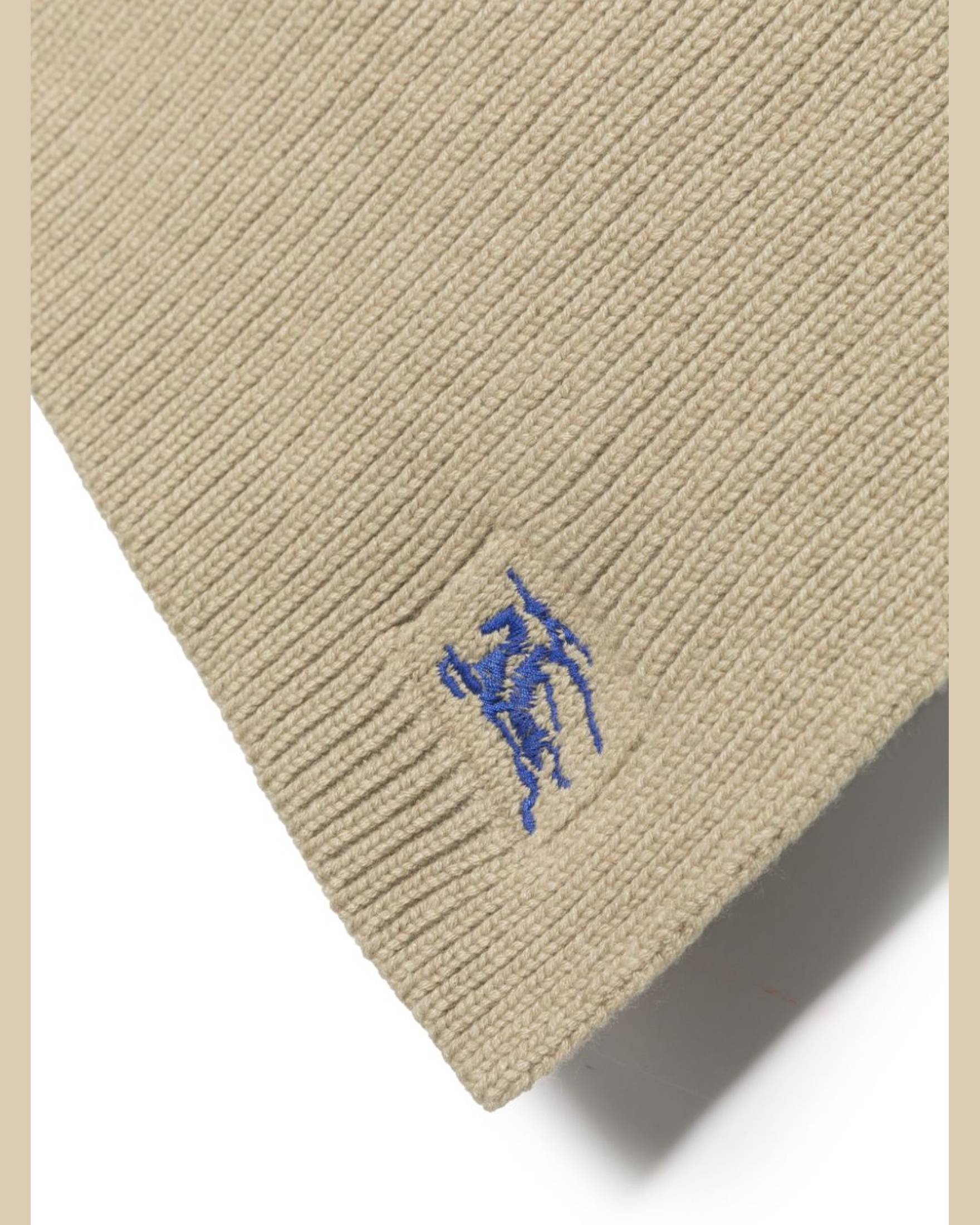 Burberry Ekd Embroidered Cashmere Scarf Glam Steals