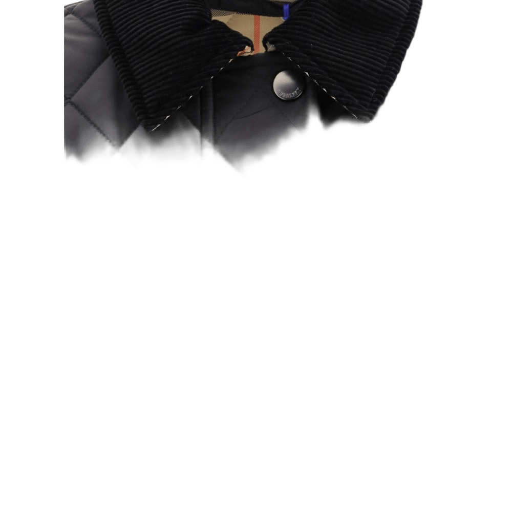 Burberry Nylon Wadded Jacket Glam Steals