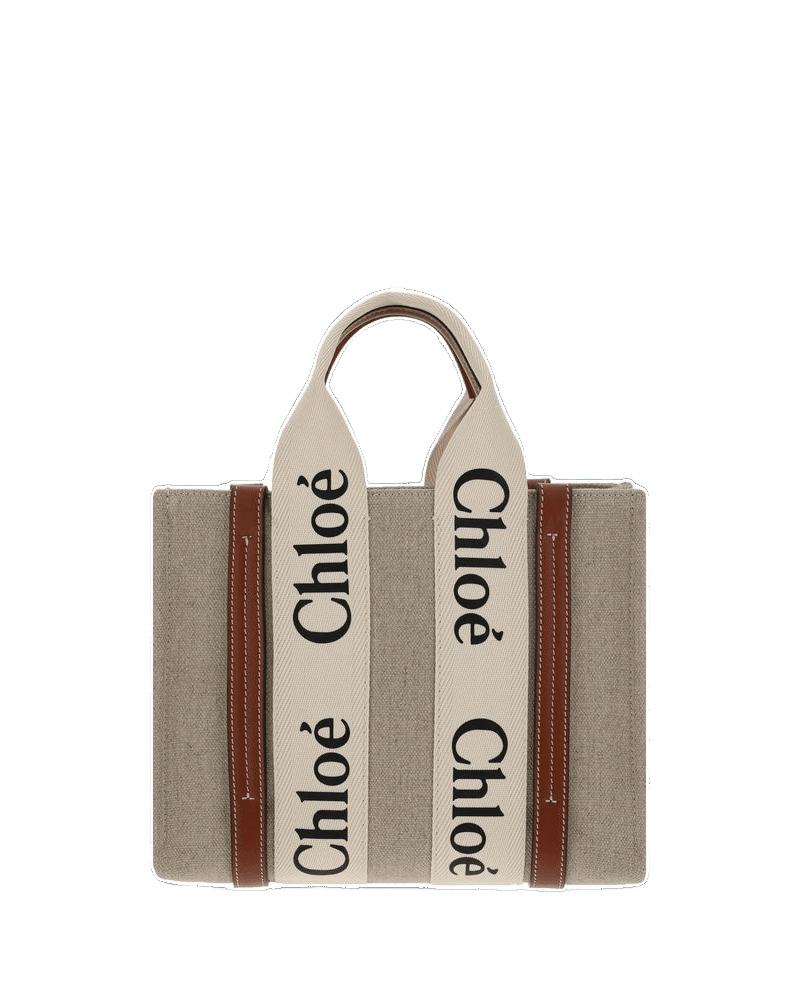 Chloé Brown Canvas Handbag Glam Steals