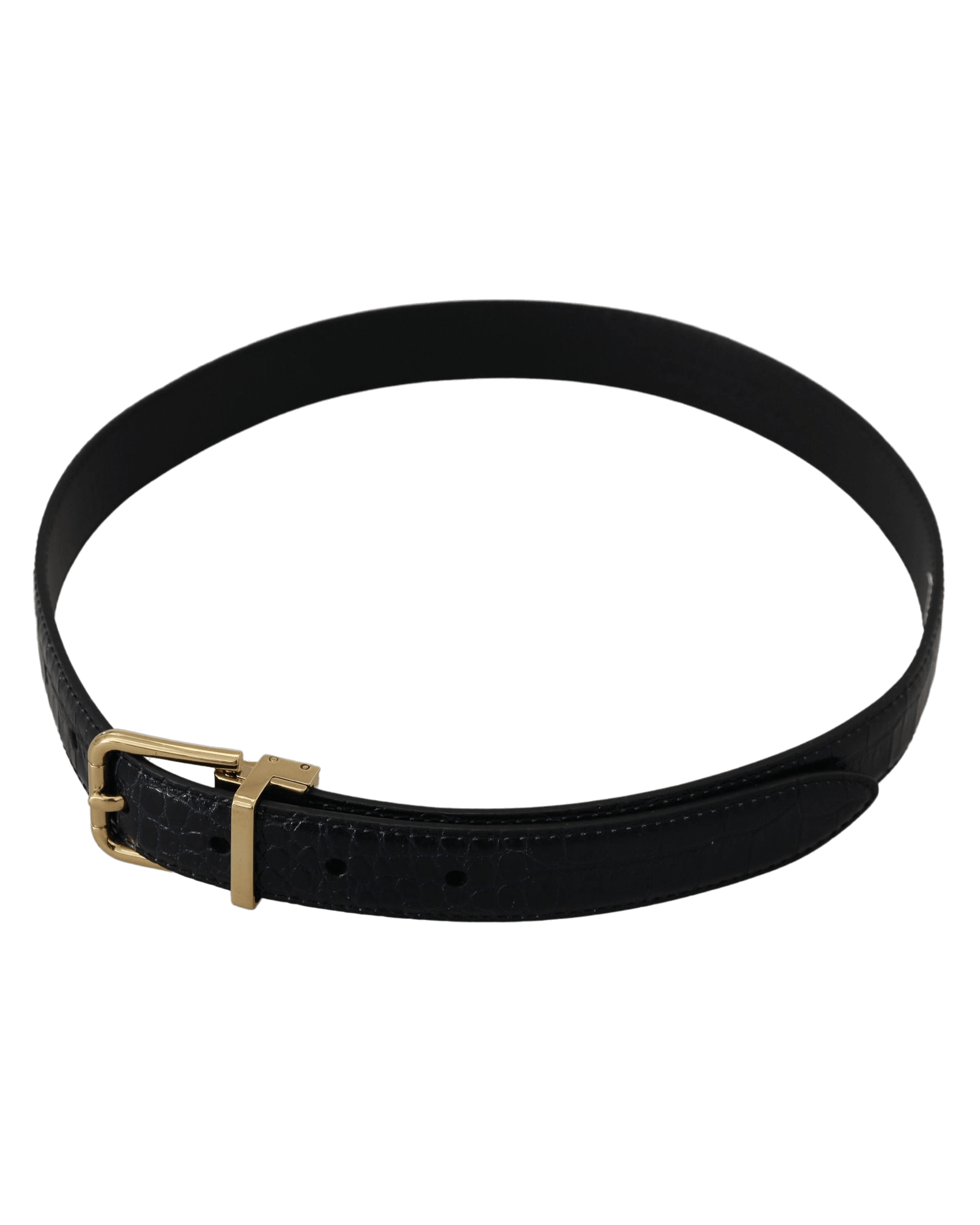 Dolce & Black Gabbana Leather Exotic Metal Buckle Belt Glam Steals