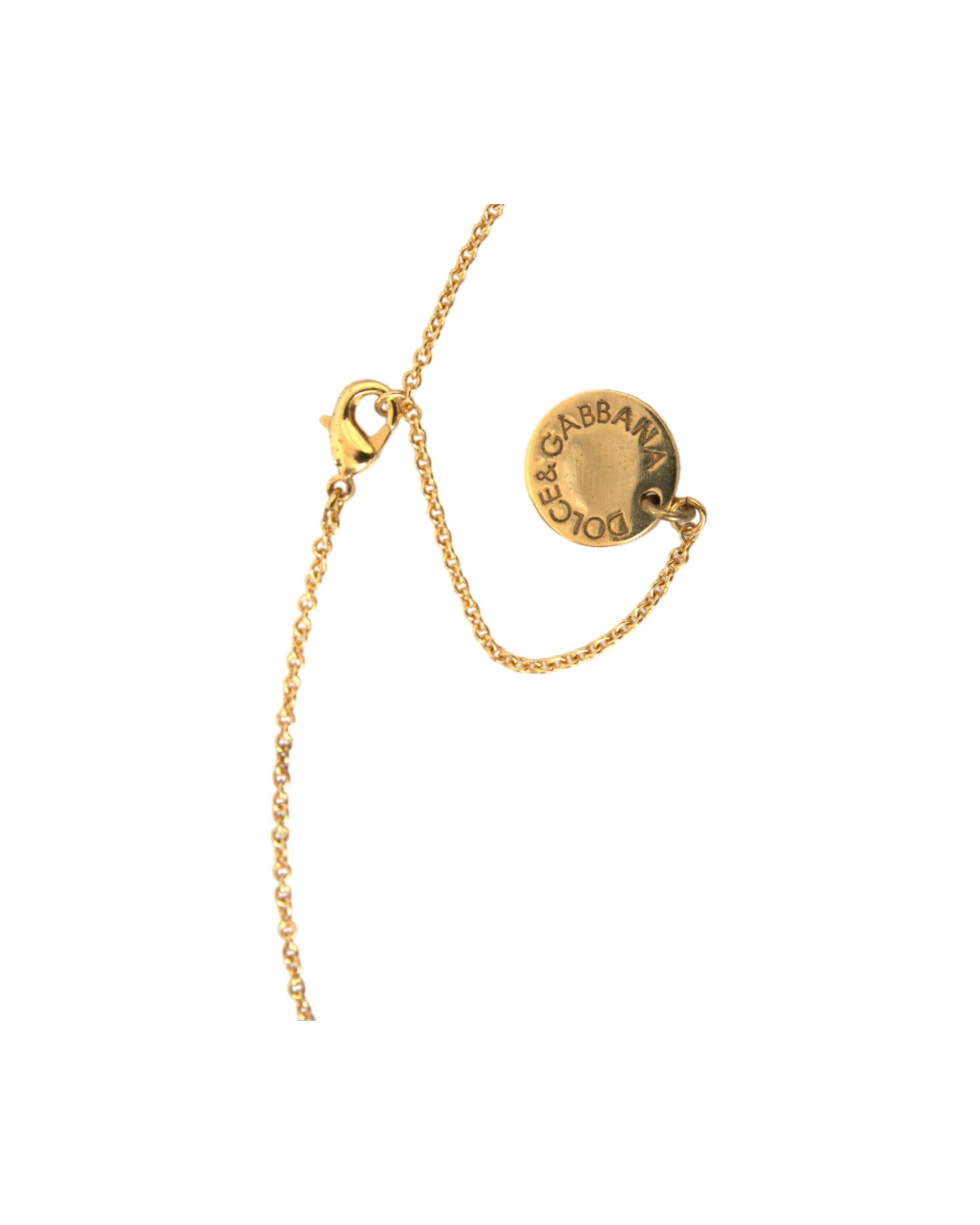 Dolce & Gabbana Brass Chain Dog Heart Pendant Charm Gold Necklace Glam Steals