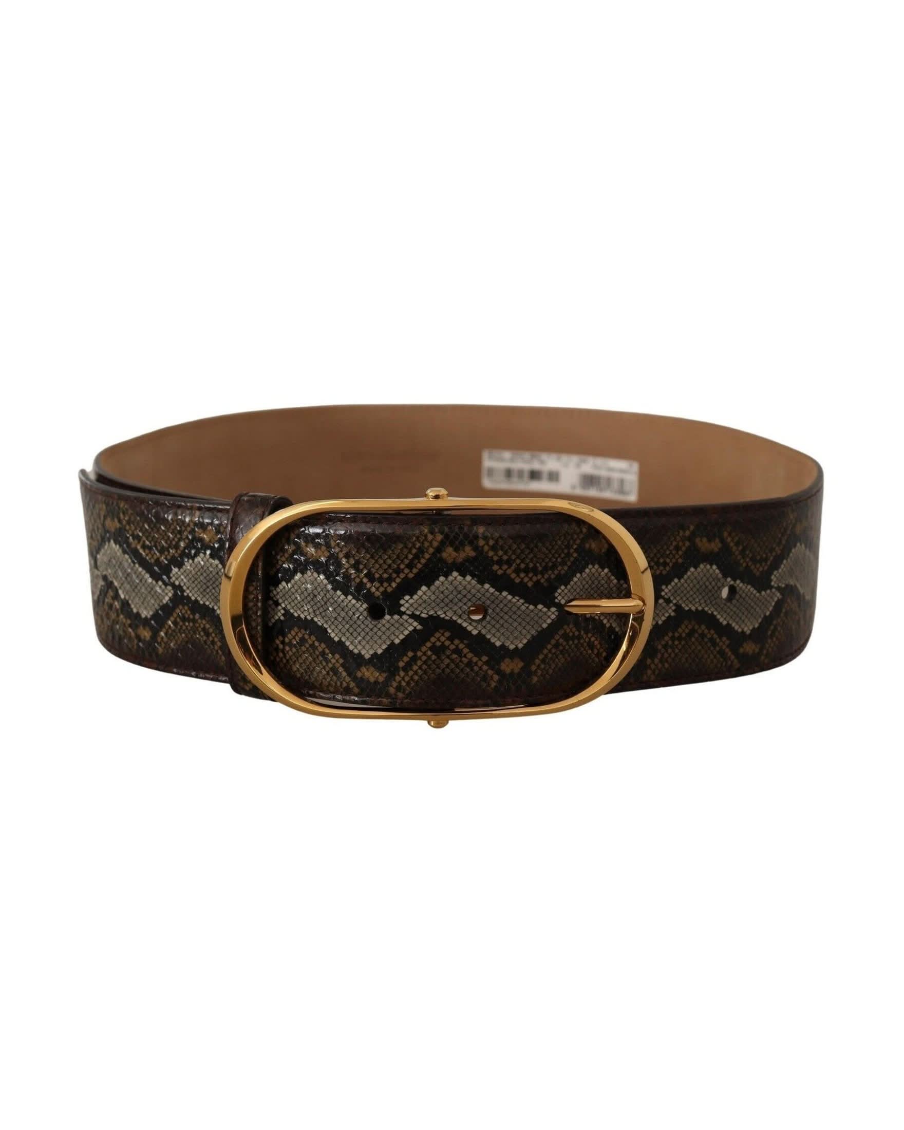 Dolce & Gabbana Brown Leather Python Gold Oval Buckle Belt Belts