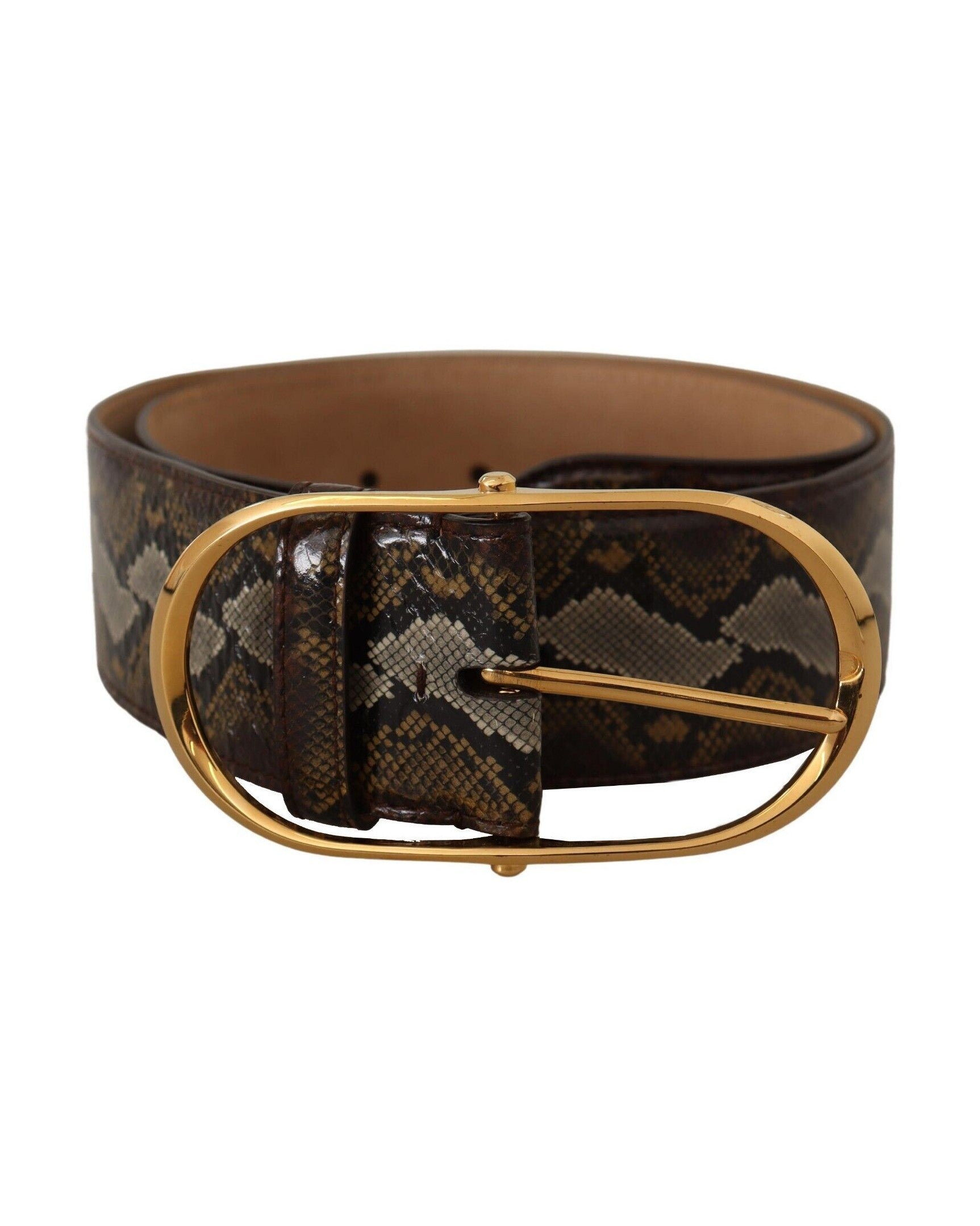 Dolce & Gabbana Brown Leather Python Gold Oval Buckle Belt Glam Steals