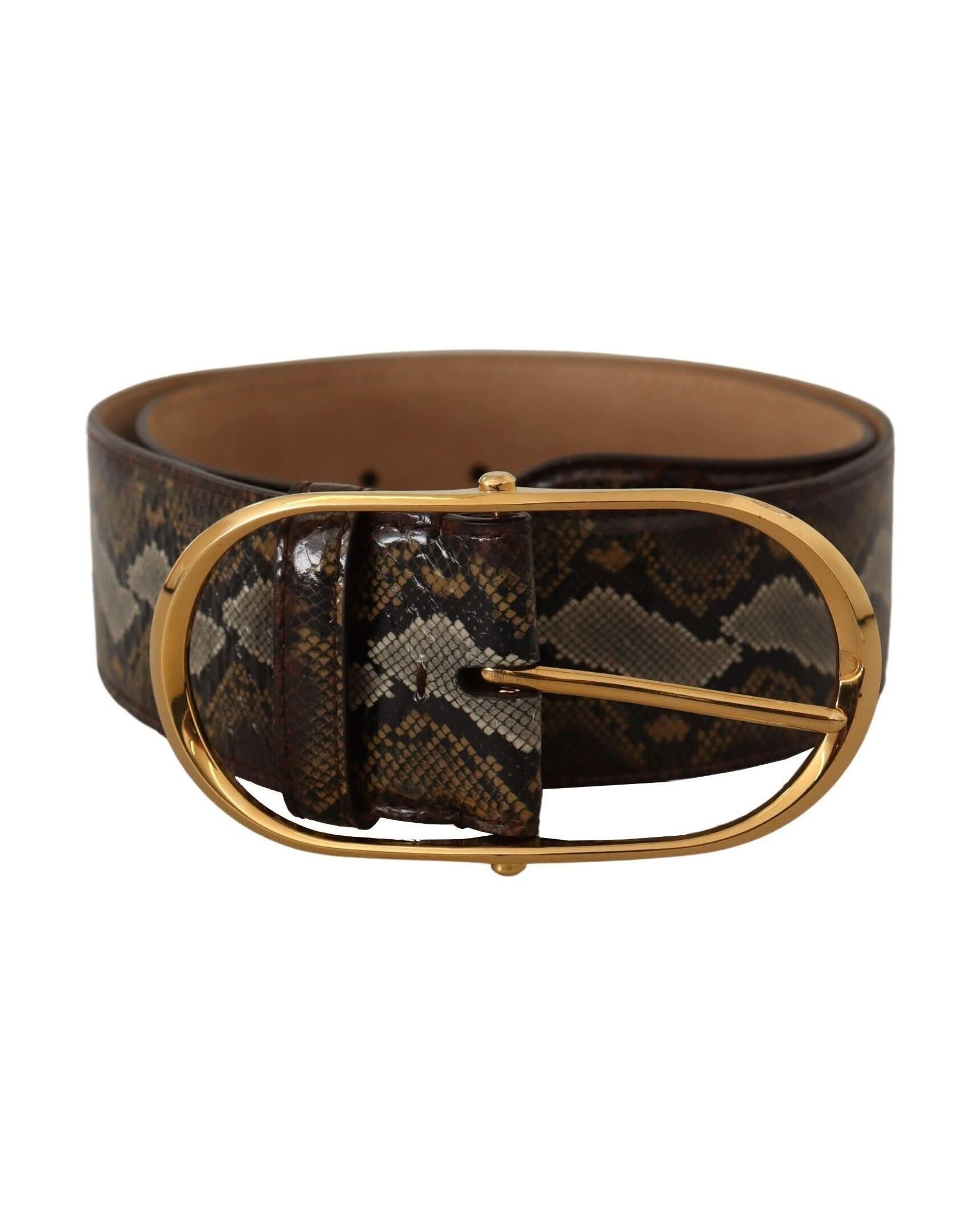 Dolce & Gabbana Brown Leather Python Gold Oval Buckle Belt Belts