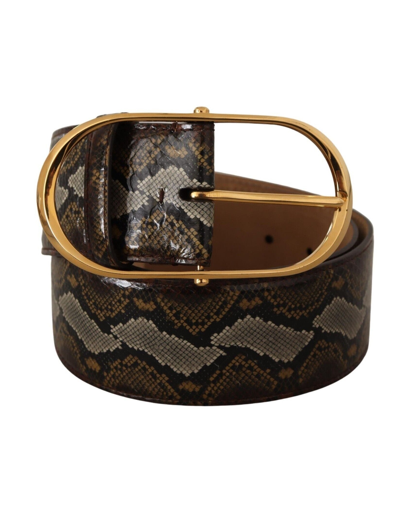 Dolce & Gabbana Brown Leather Python Gold Oval Buckle Belt Glam Steals