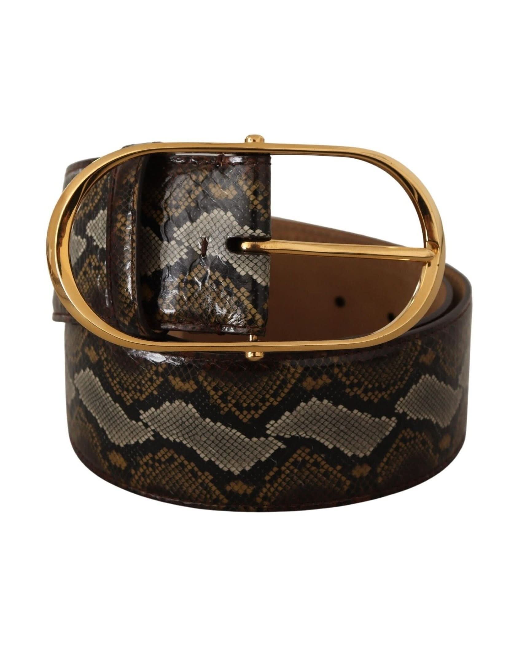 Dolce & Gabbana Brown Leather Python Gold Oval Buckle Belt Belts