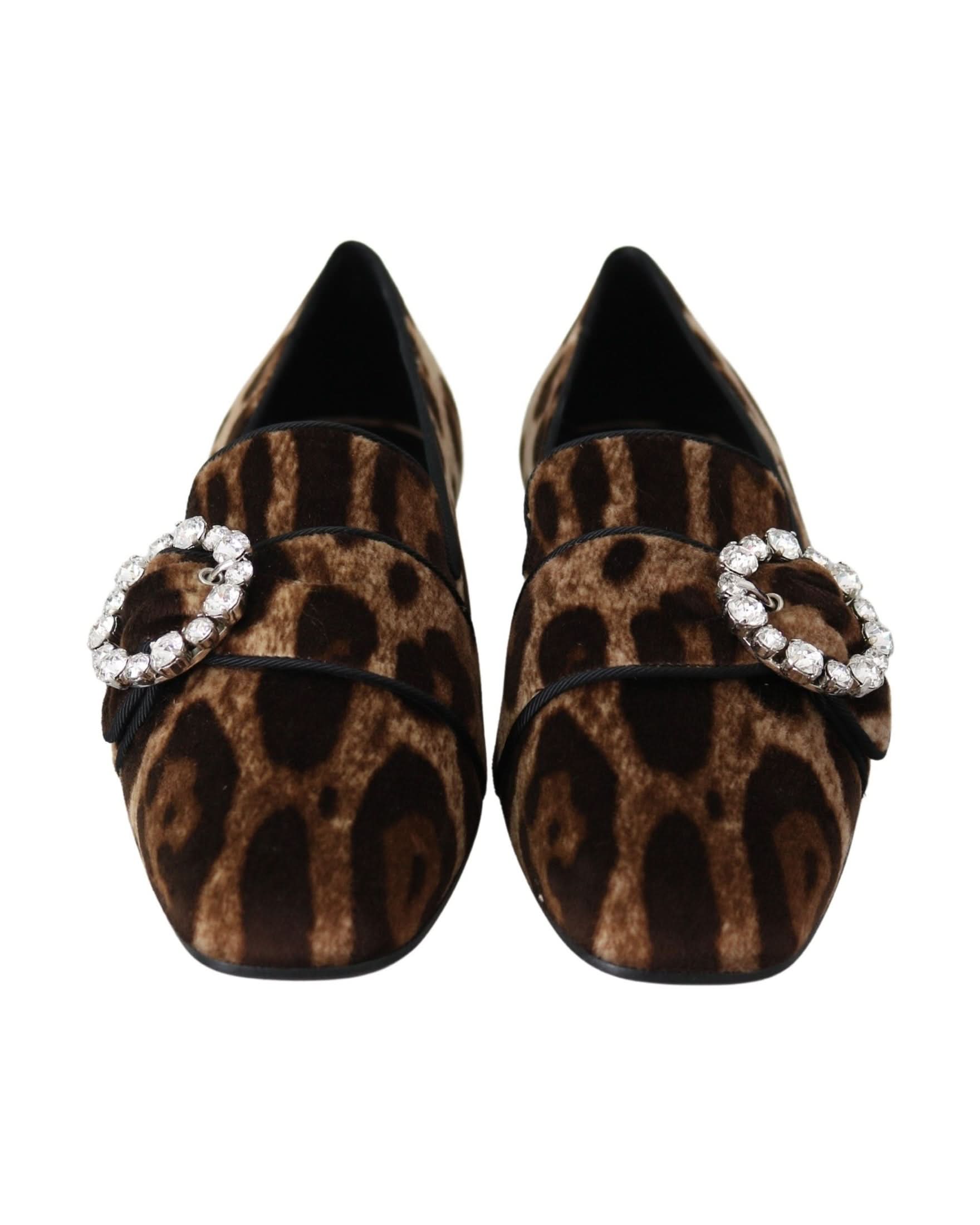 Dolce & Gabbana Brown Leopard Print Crystals Loafers Flats Shoes Flats