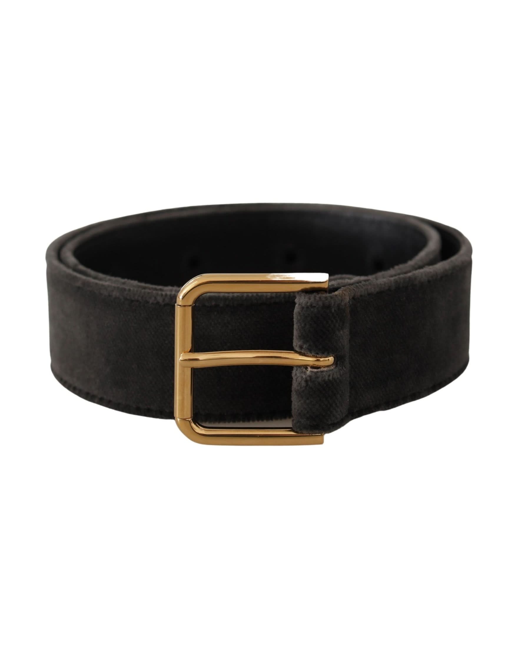 Dolce & Gabbana Brown Velvet Gold Tone Logo Metal Waist Buckle Belt Belts