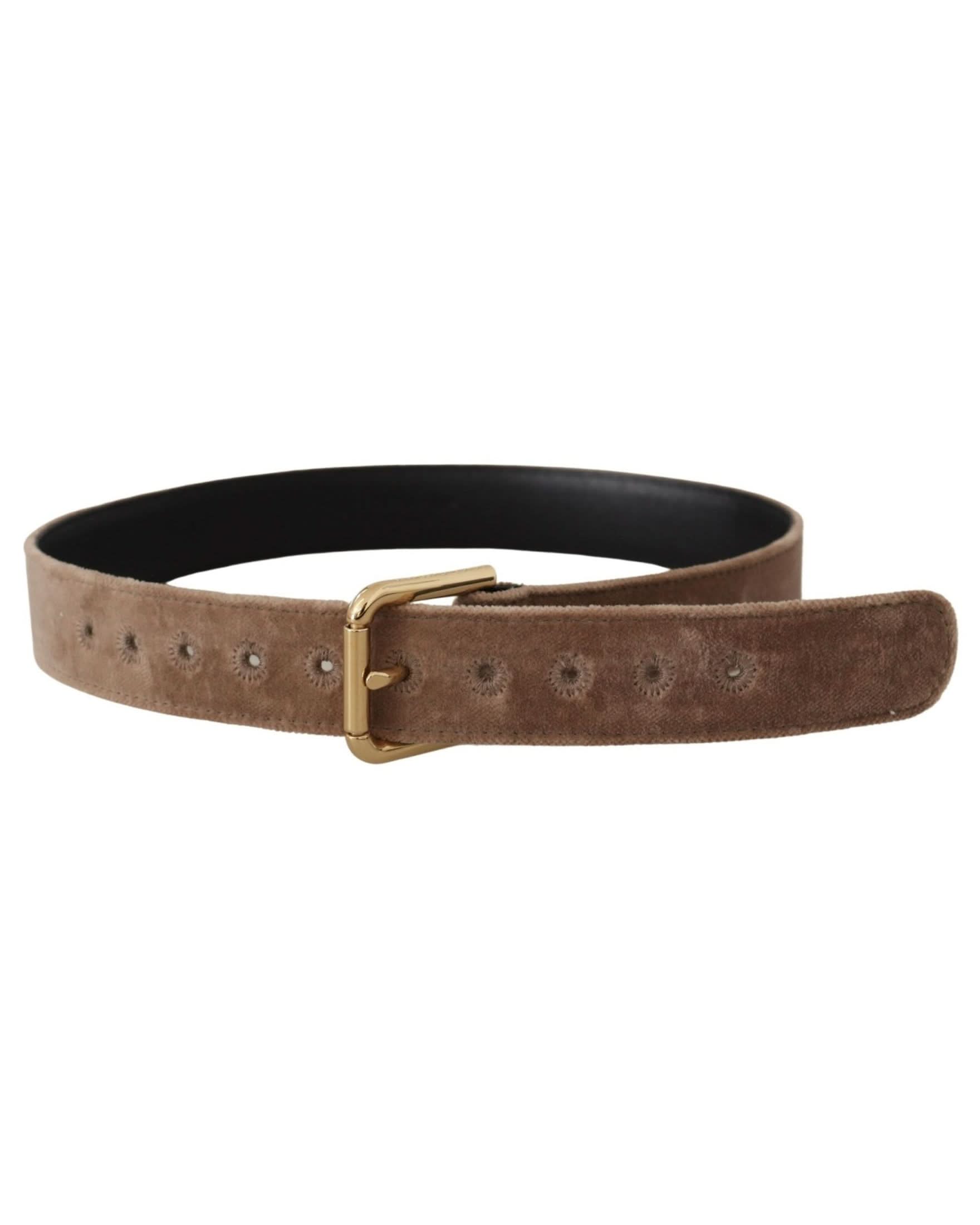 Dolce & Gabbana Brown Velvet Light Gold Tone Logo Metal Buckle Belt Belts