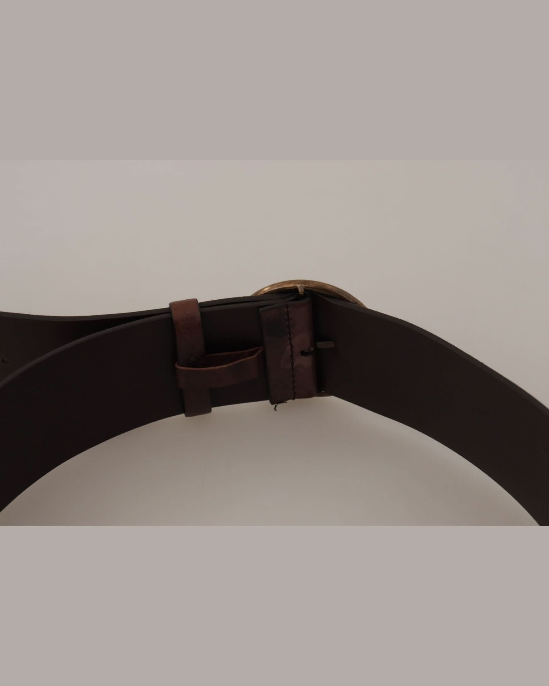 Dolce & Gabbana Dark Brown Leather Wide Calf Logo Round Buckle Belt Belts