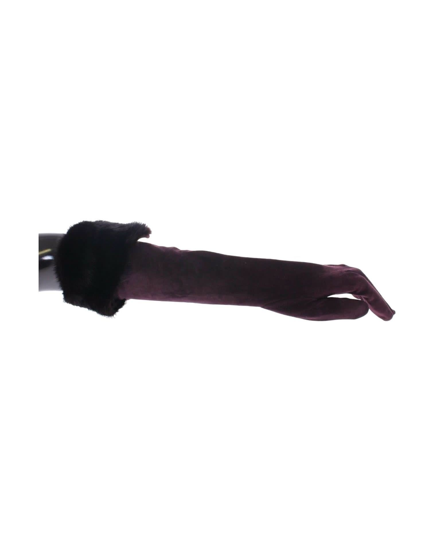Dolce & Gabbana Purple Elegant Elbow Length Fur Gloves Gloves & Mittens