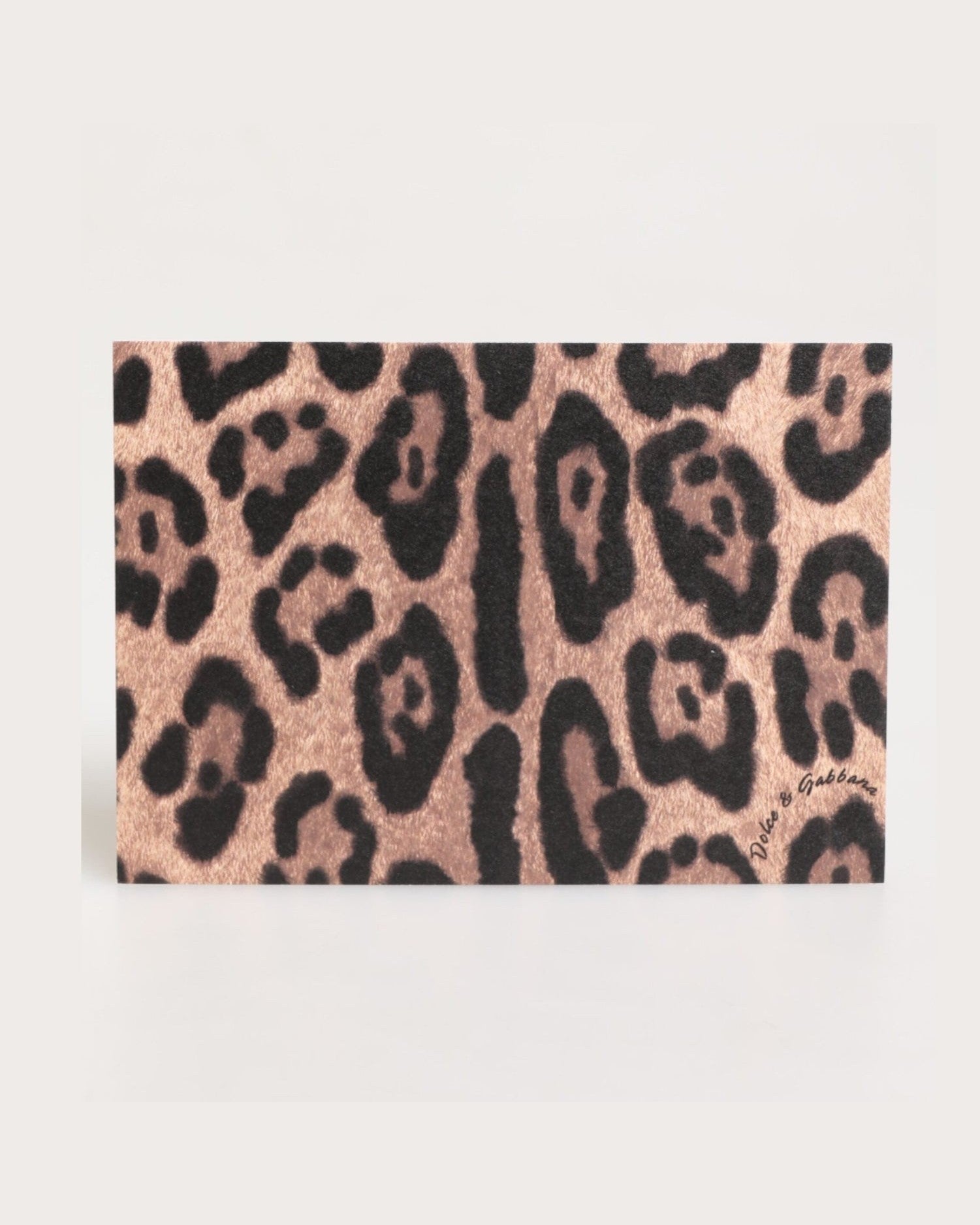Dolce & Gabbana Multicolor Leopard Print Envelope Paper Post Card Holder Wallets & Money Clips