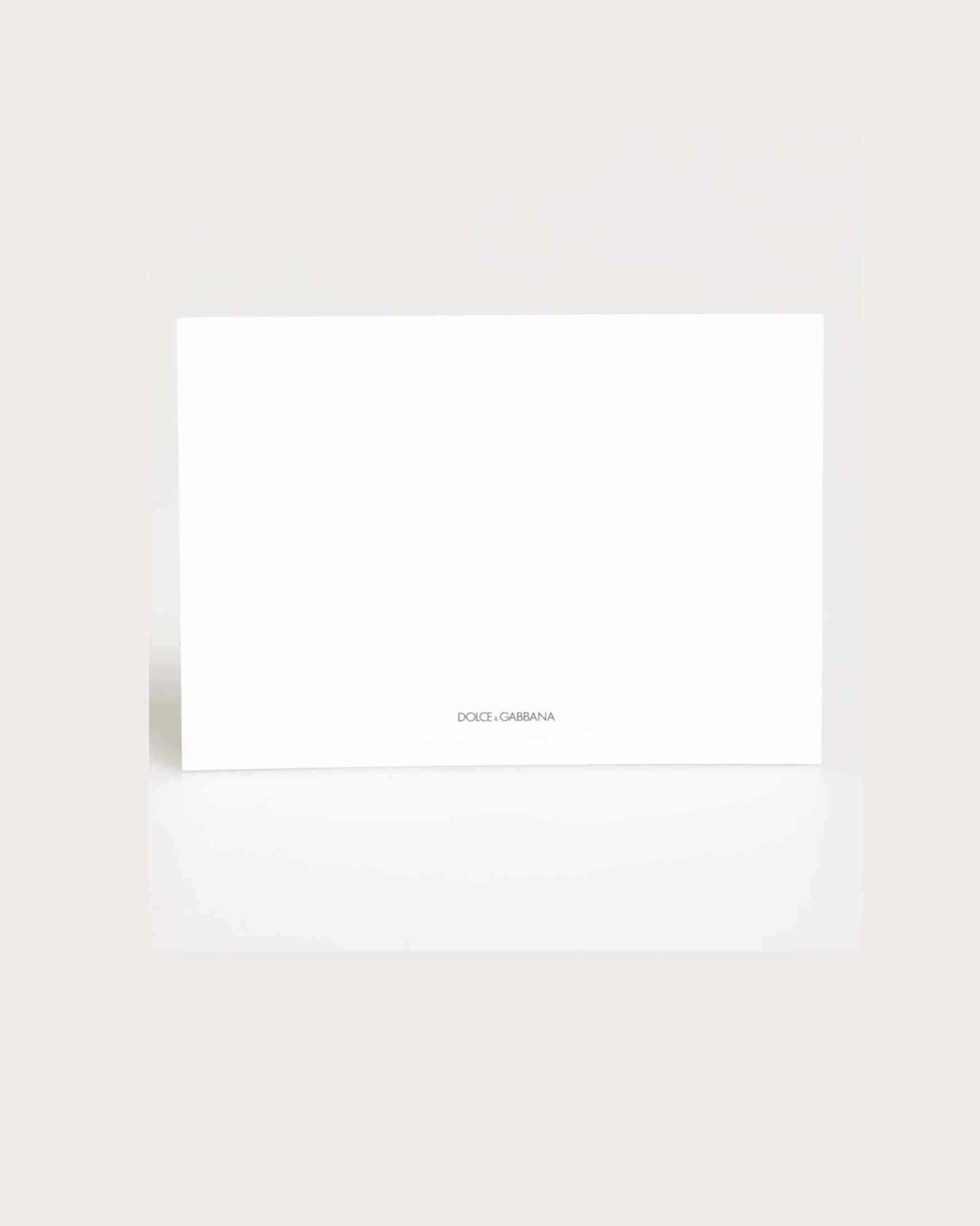 Dolce & Gabbana Multicolor Leopard Print Envelope Paper Post Card Holder Wallets & Money Clips