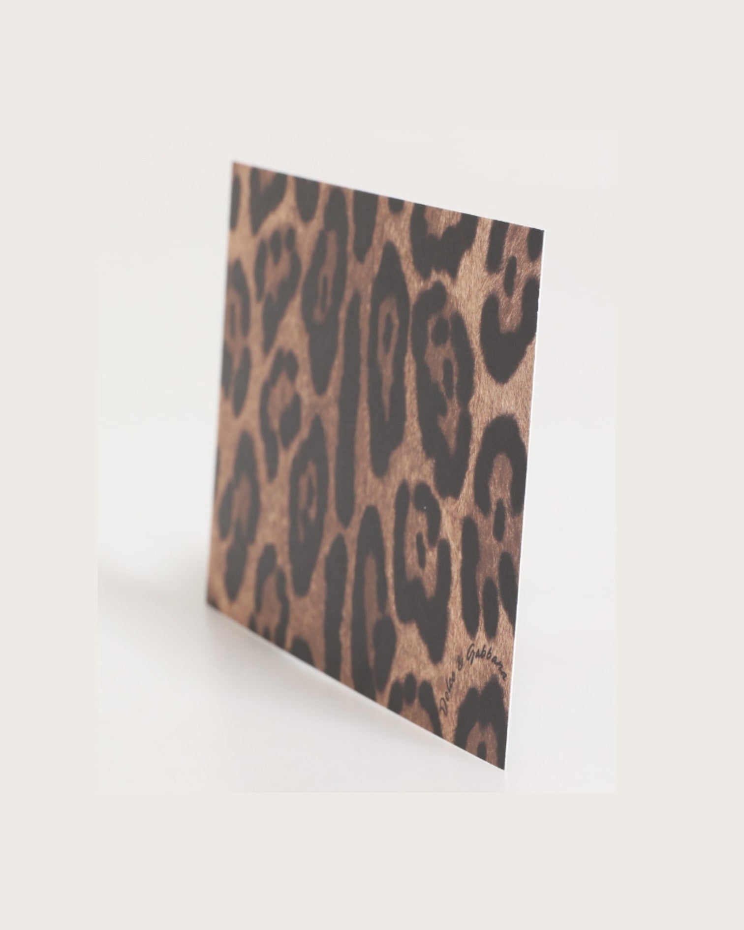 Dolce & Gabbana Multicolor Leopard Print Envelope Paper Post Card Holder Wallets & Money Clips
