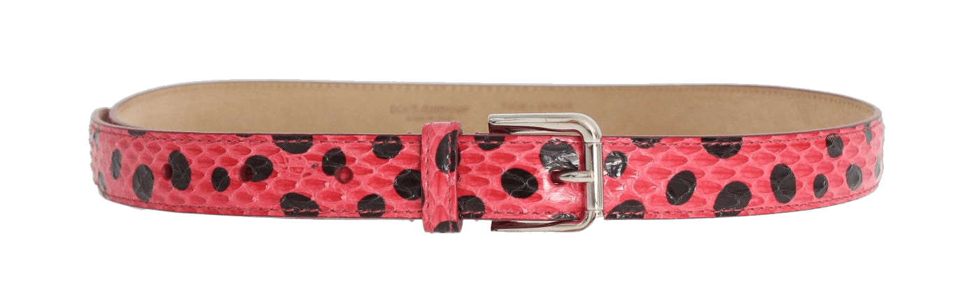 Dolce & Gabbana Pink Polka Snakeskin Silver Buckle Belt Glam Steals