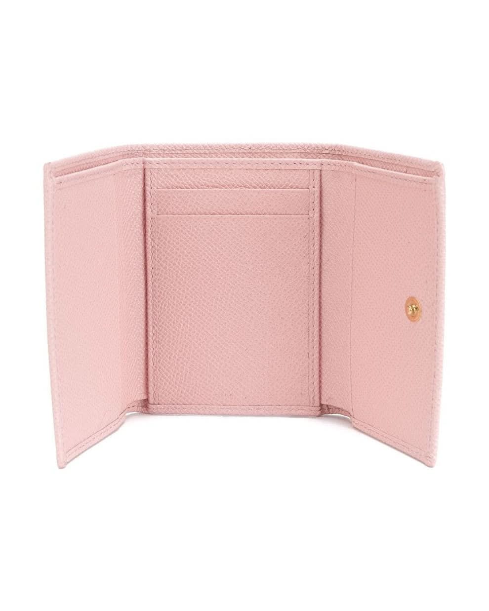 Dolce & Gabbana Pink Wallets Wallets
