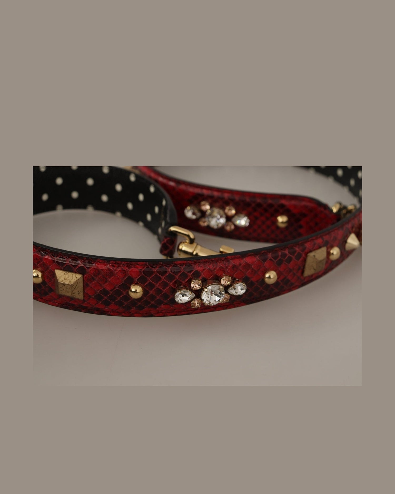 Dolce & Gabbana Python Leather Shoulder Bag Red Strap Glam Steals