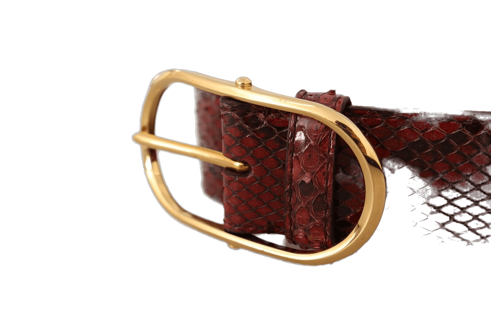 Dolce & Gabbana Red Leather Exotic Gold Oval Buckle Belt Glam Steals
