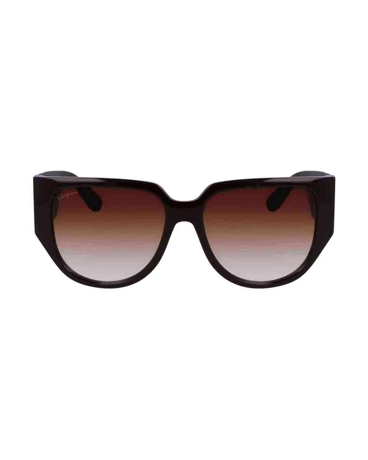Ferragamo Bio Brown Injected Sunglasses Sunglasses