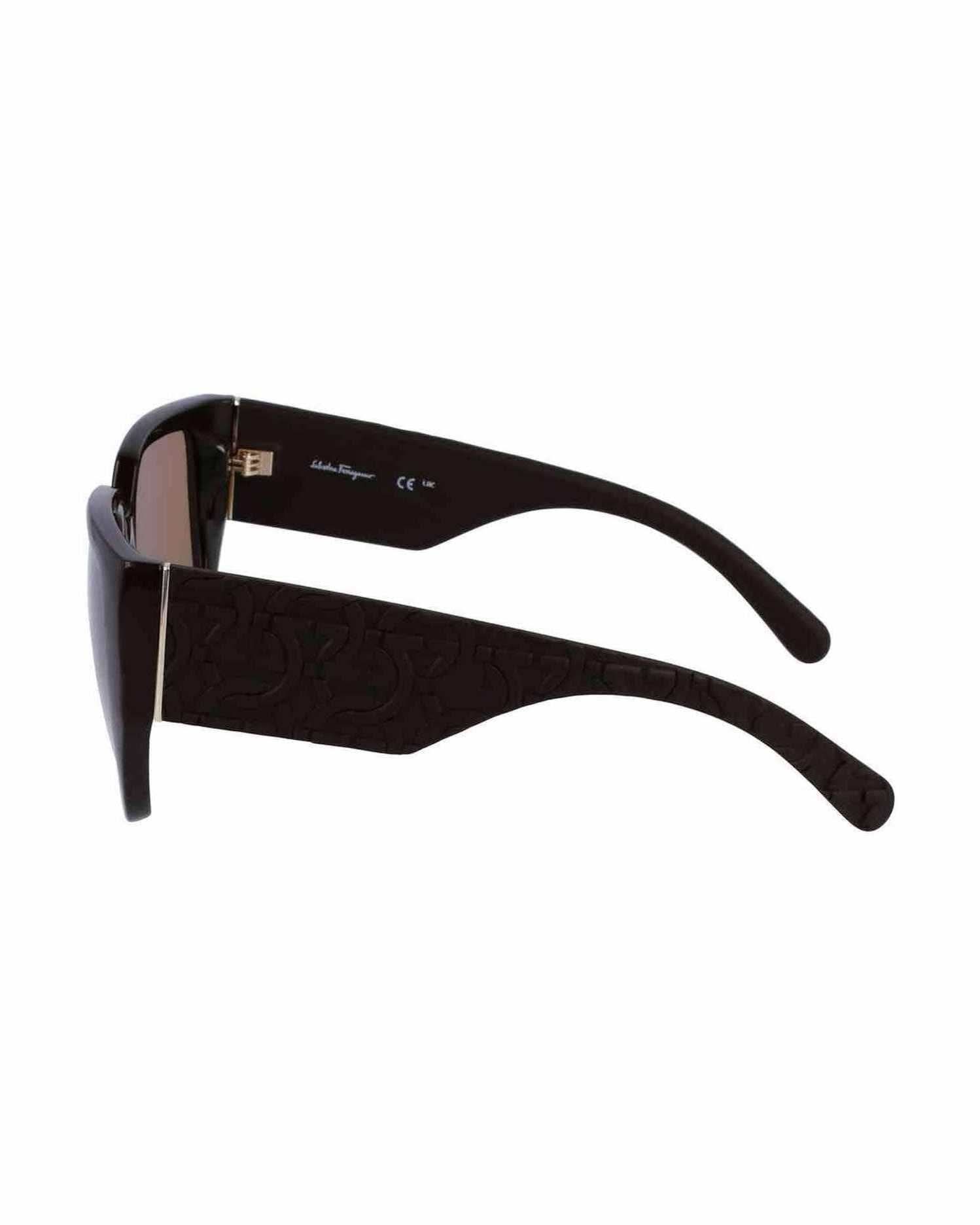 Ferragamo Bio Brown Injected Sunglasses Sunglasses