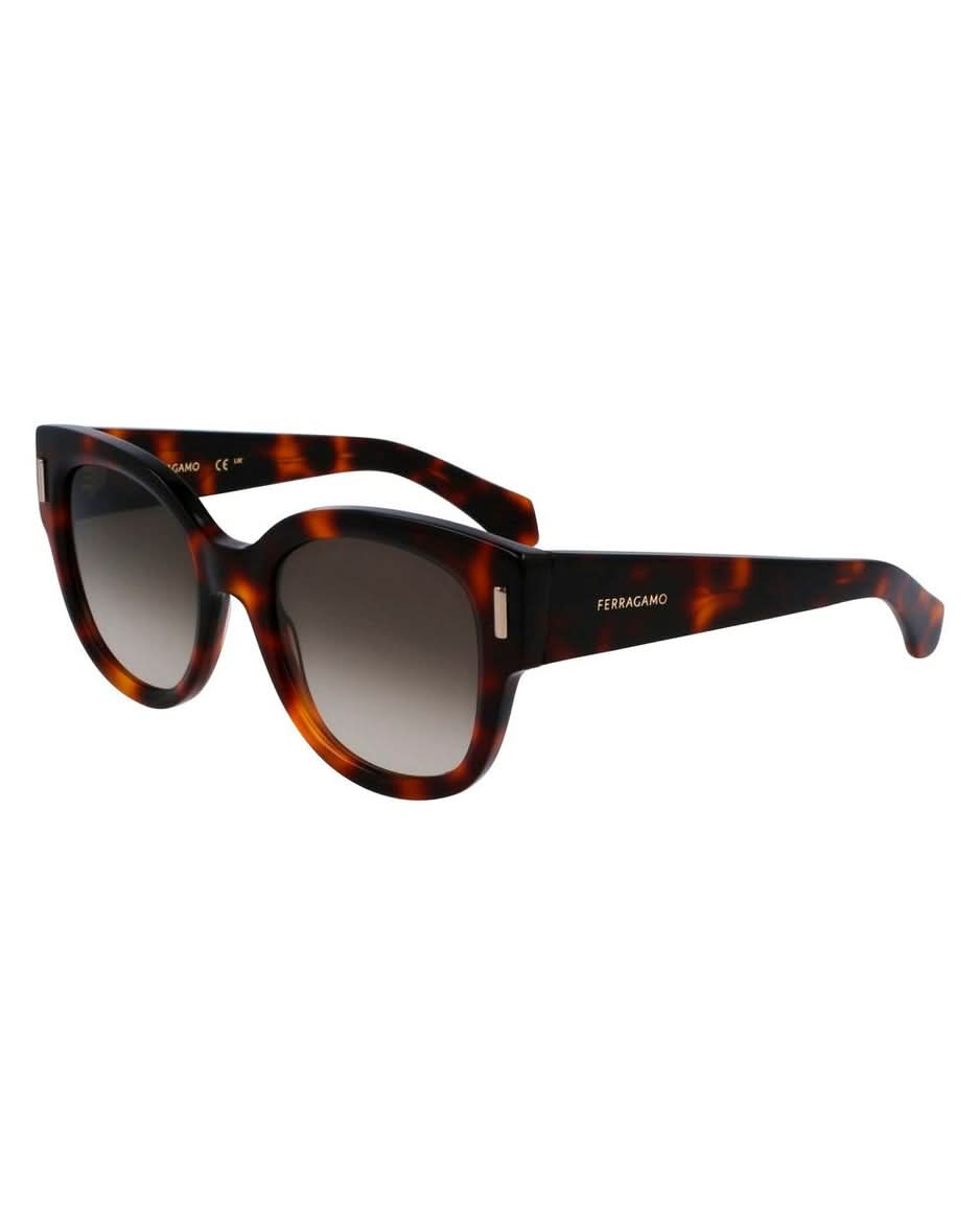 Ferragamo Brown Acetate Sunglasses Glam Steals