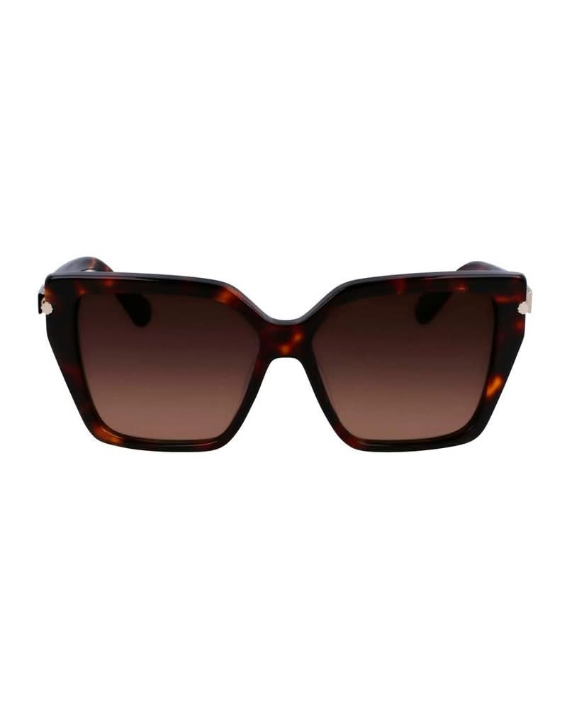 Ferragamo Brown Acetate Sunglasses Glam Steals