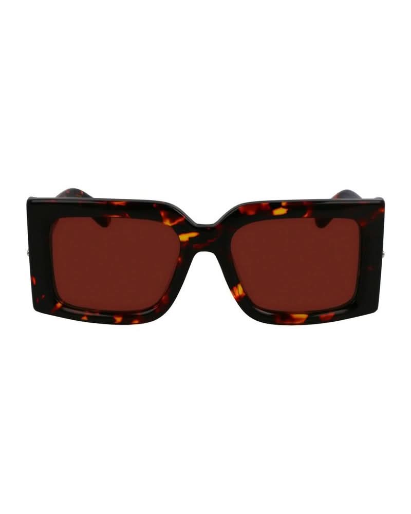Ferragamo Brown Acetate Sunglasses Glam Steals