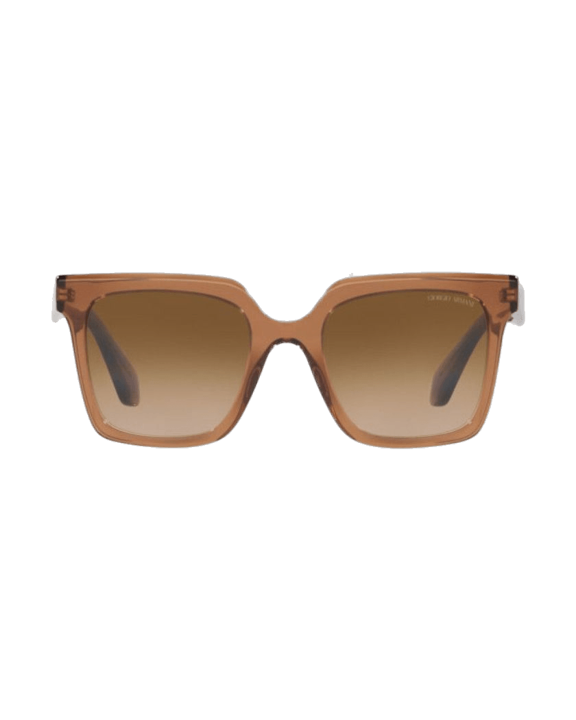 Giorgio Armani Brown Acetate Sunglasses Sunglasses