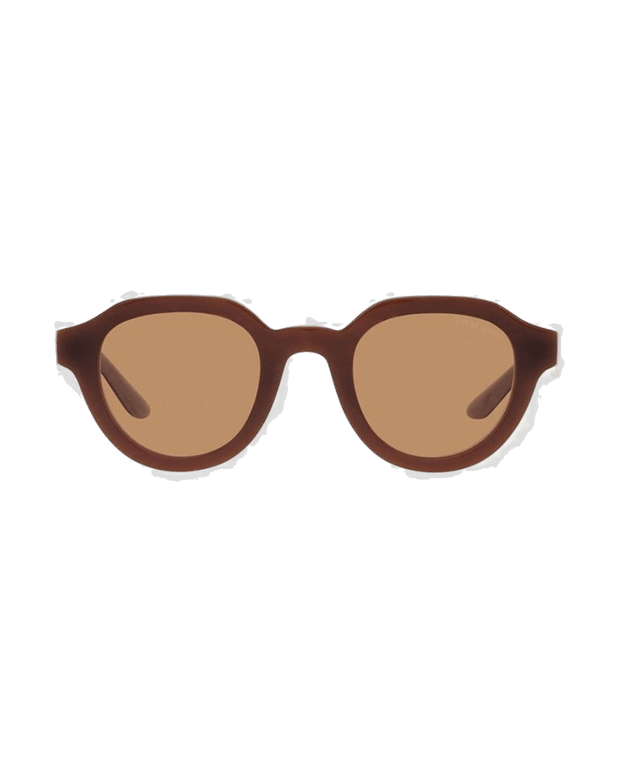 Giorgio Armani Brown Acetate Sunglasses Sunglasses