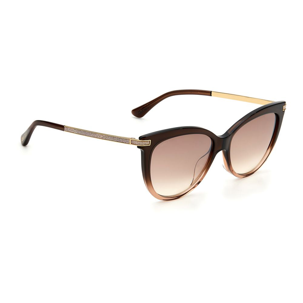 Jimmy Choo Acetate Brown Sunglasses Glam Steals