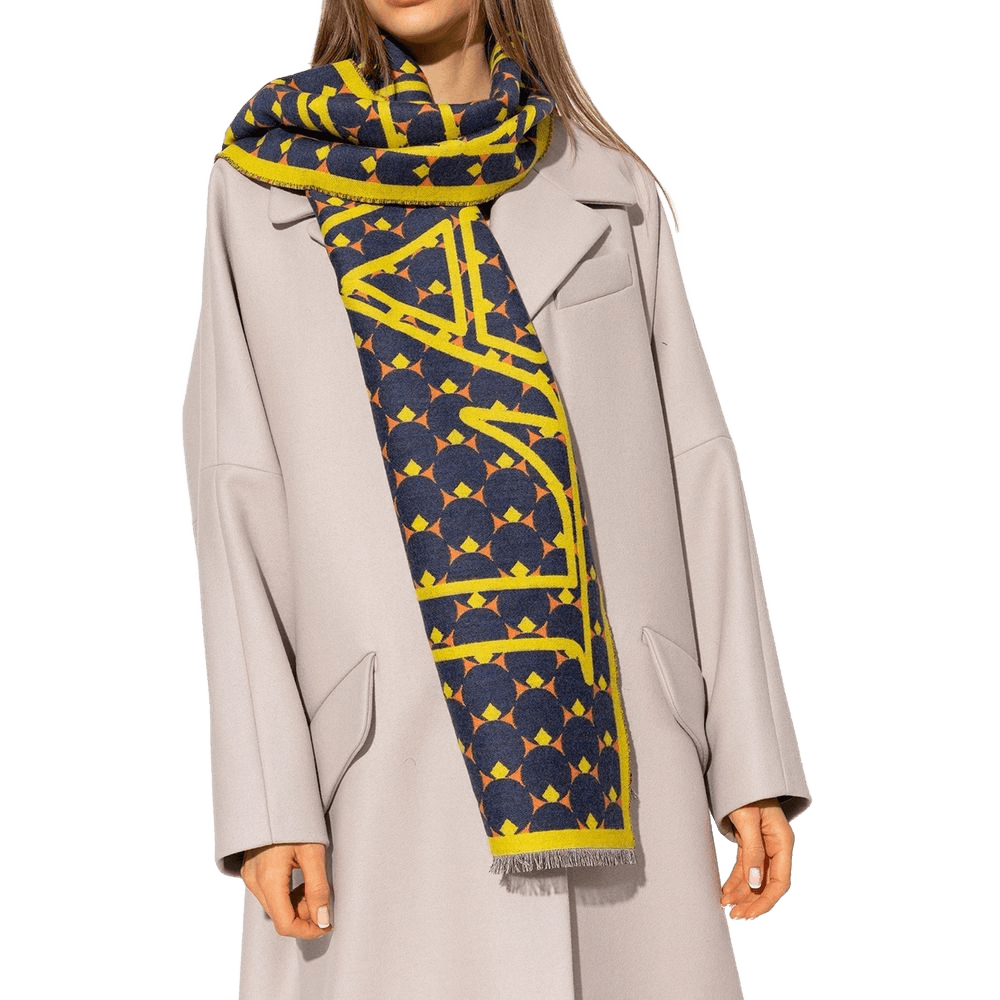 Lanvin Wool And Silk Scarf Glam Steals