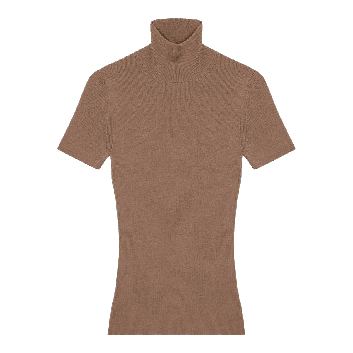 Max Mara Camel Wool Turtleneck Glam Steals