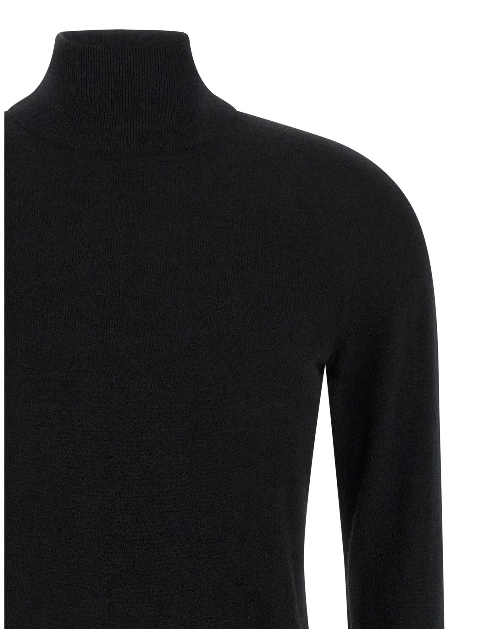 Max Mara Meana Turtleneck Sweater Glam Steals