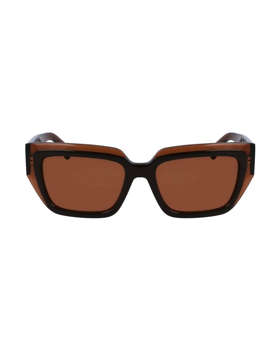 Salvatore Ferragamo Brown Acetate Sunglasses Sunglasses